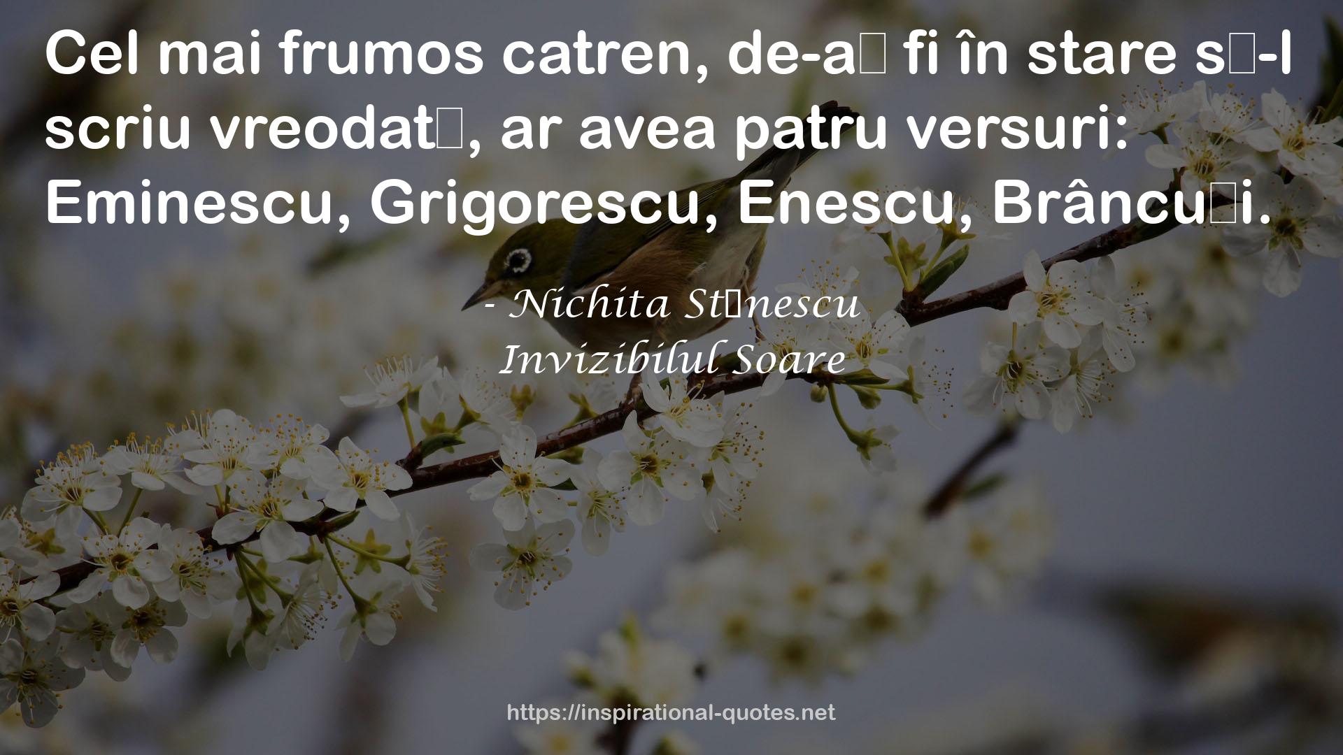 Invizibilul Soare QUOTES