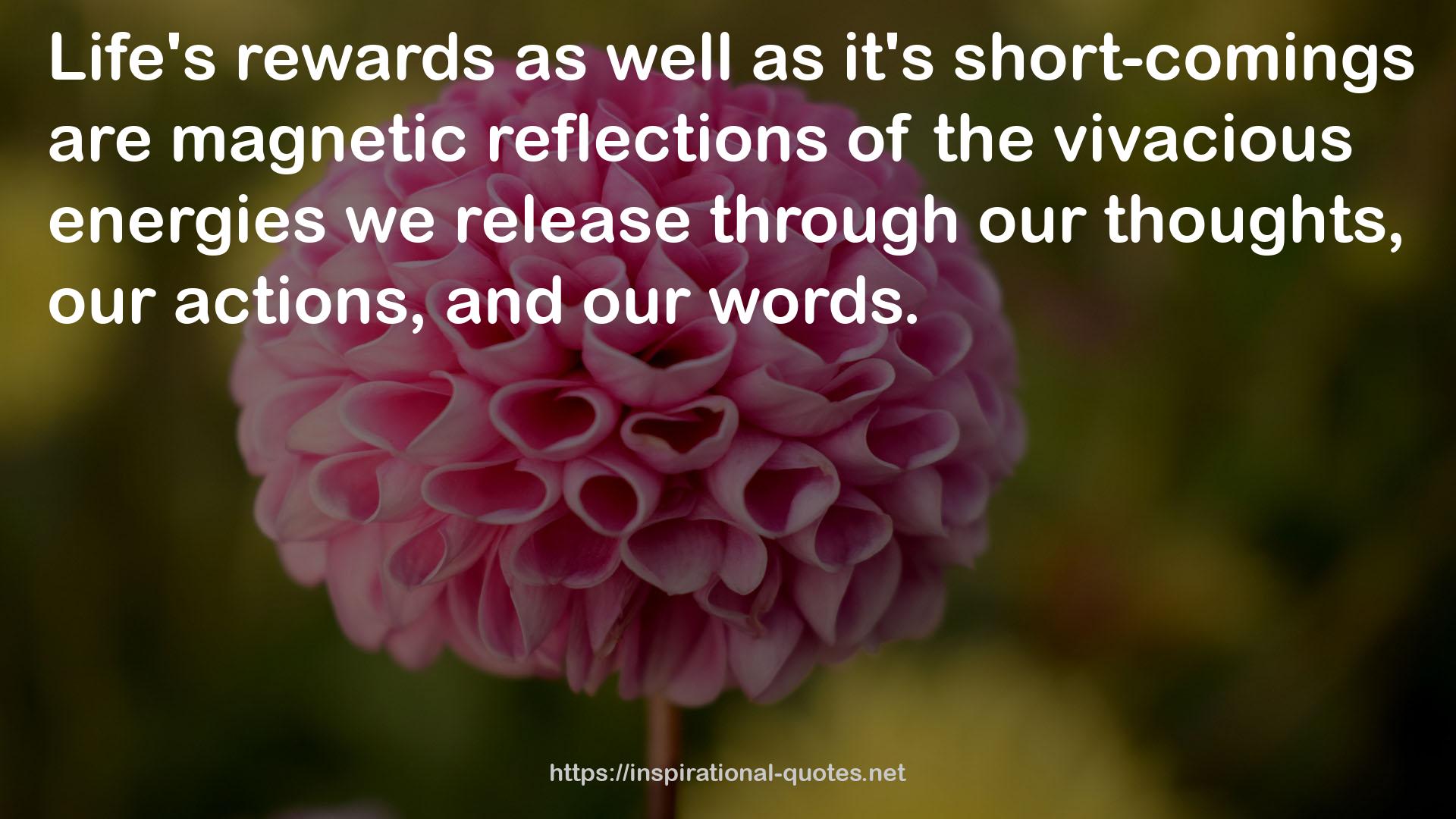 magnetic reflections  QUOTES