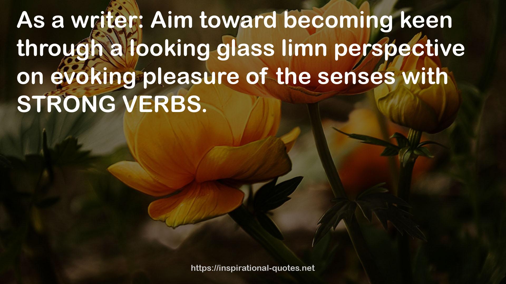 a looking glass limn perspective  QUOTES