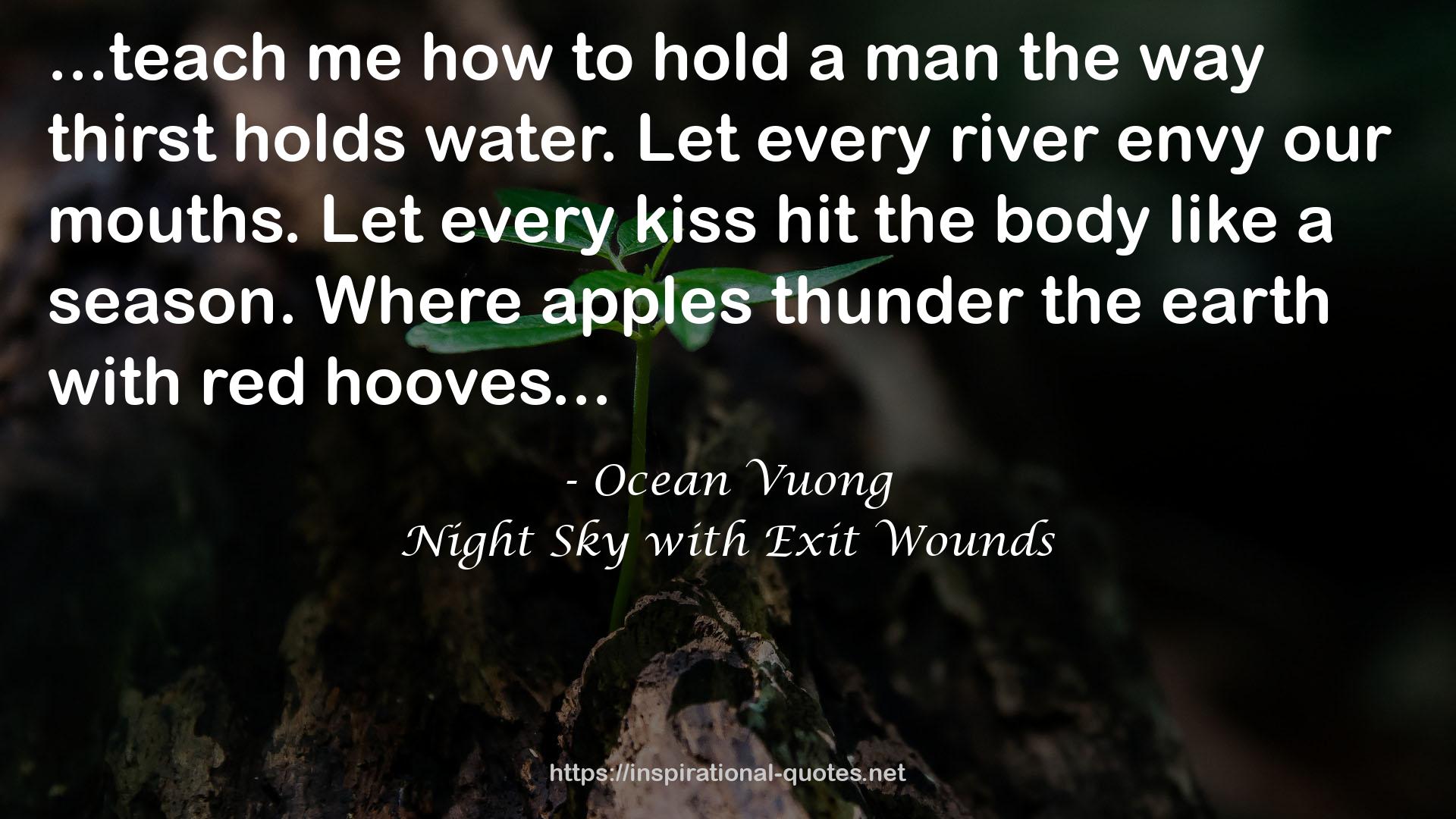 Night Sky with Exit Wounds QUOTES