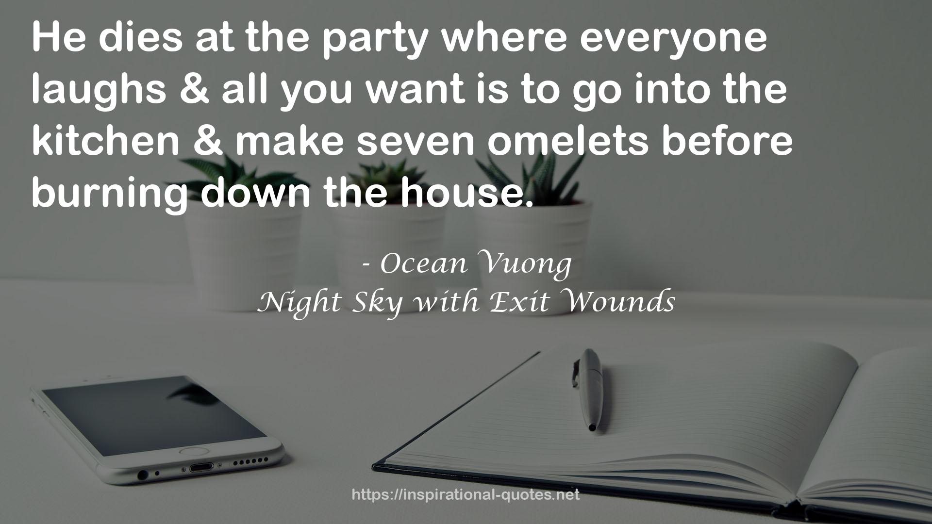 Night Sky with Exit Wounds QUOTES