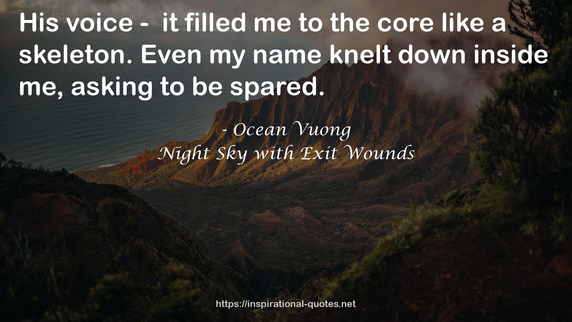 Night Sky with Exit Wounds QUOTES