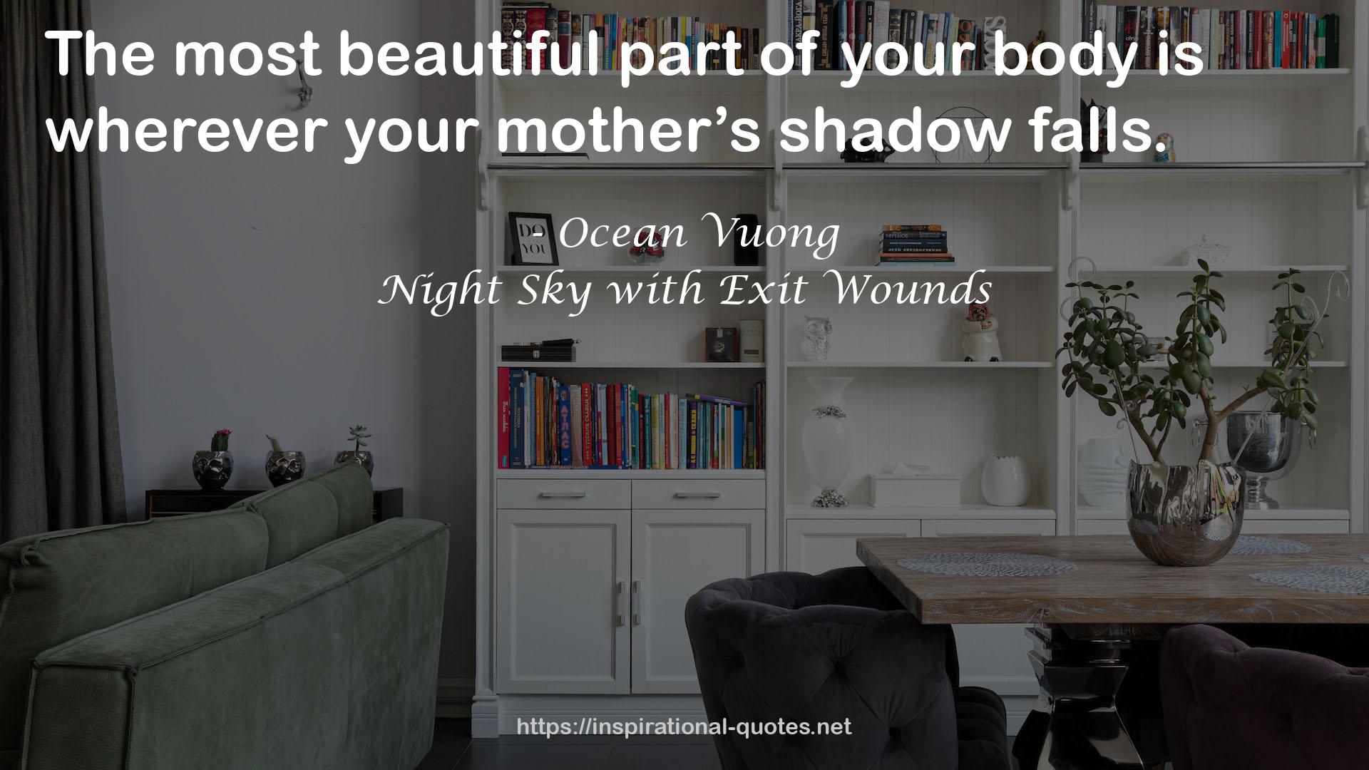 Night Sky with Exit Wounds QUOTES