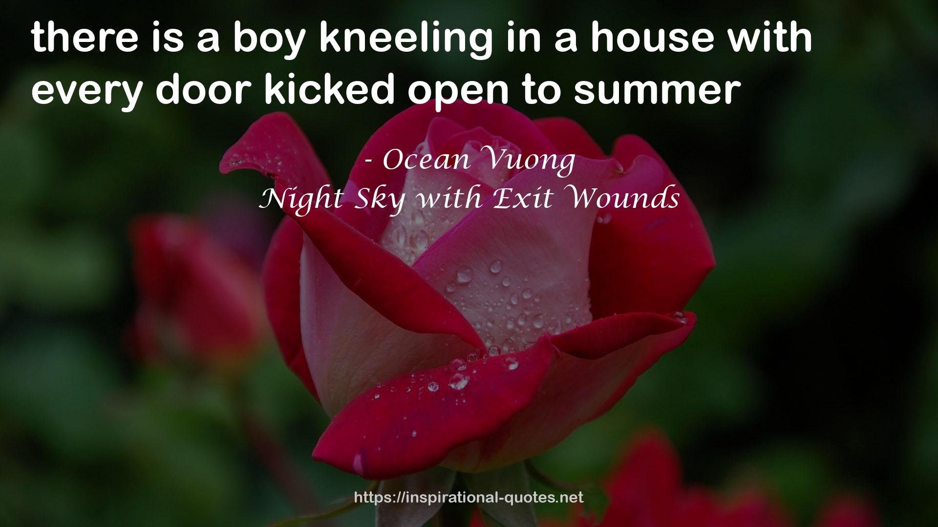 Night Sky with Exit Wounds QUOTES