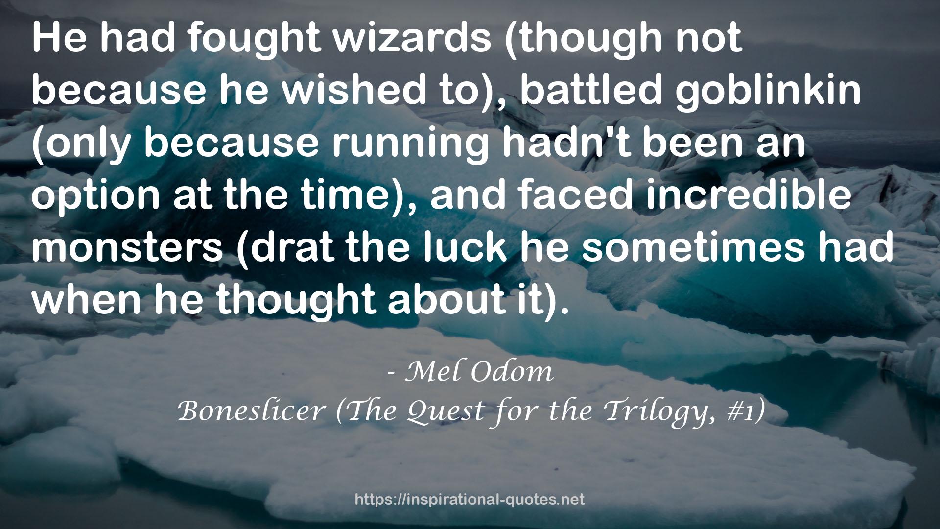 Boneslicer (The Quest for the Trilogy, #1) QUOTES