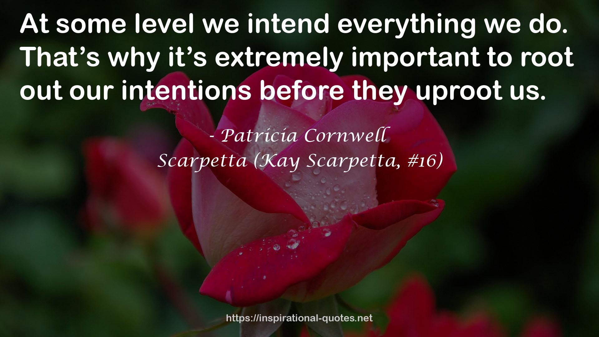 Scarpetta (Kay Scarpetta, #16) QUOTES