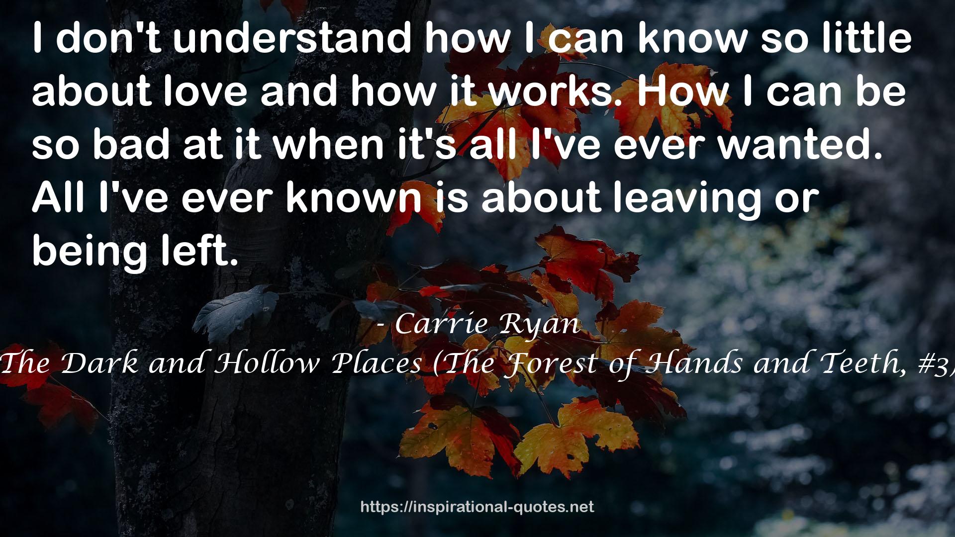 The Dark and Hollow Places (The Forest of Hands and Teeth, #3) QUOTES