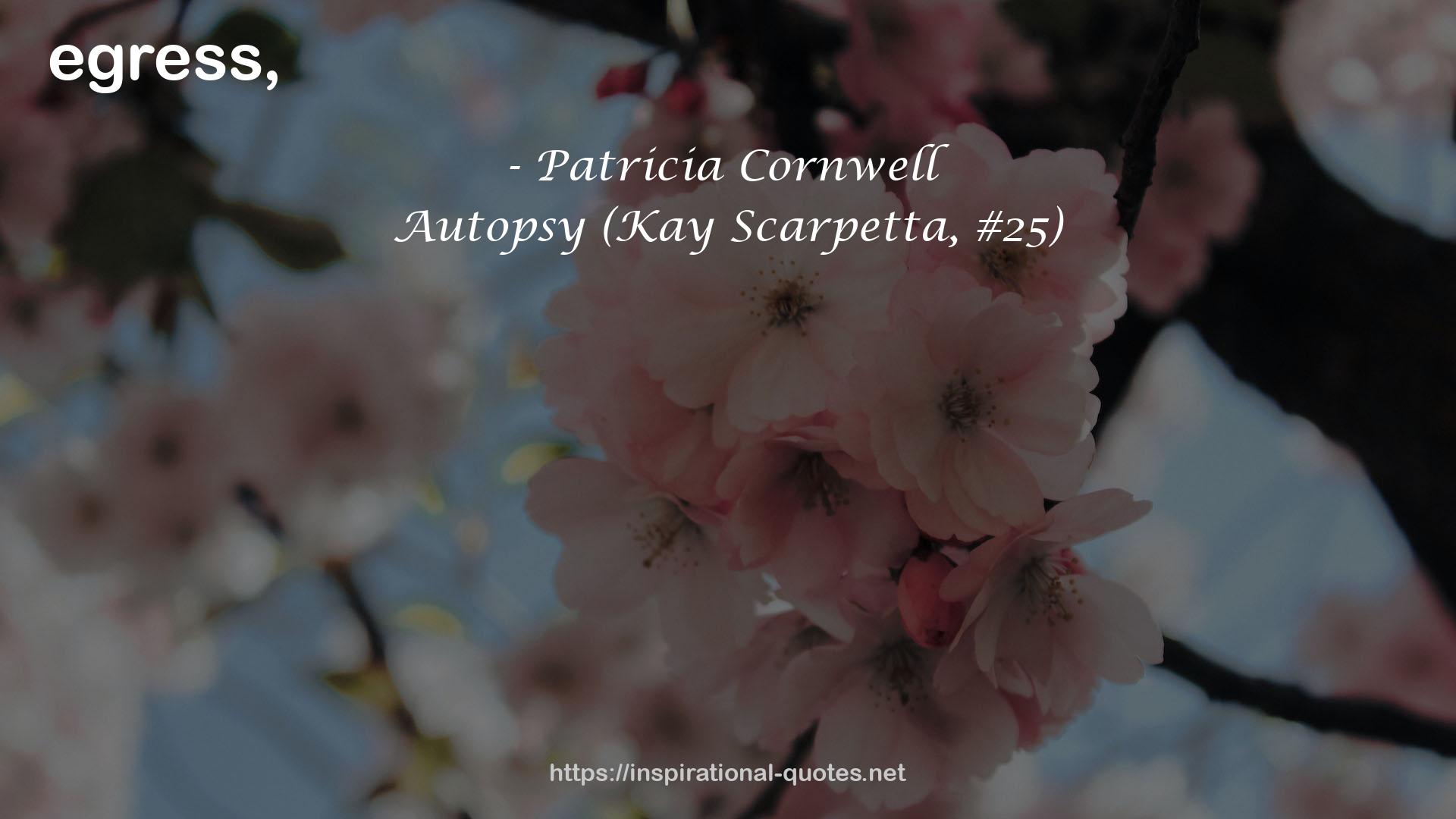 Autopsy (Kay Scarpetta, #25) QUOTES