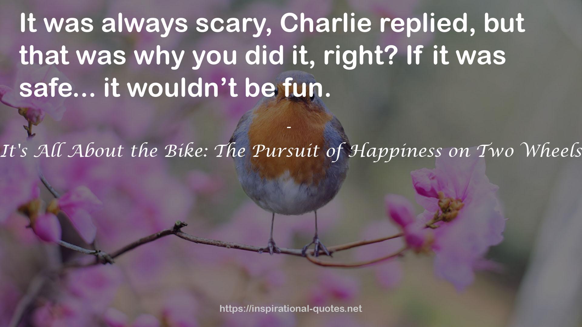 It's All About the Bike: The Pursuit of Happiness on Two Wheels QUOTES