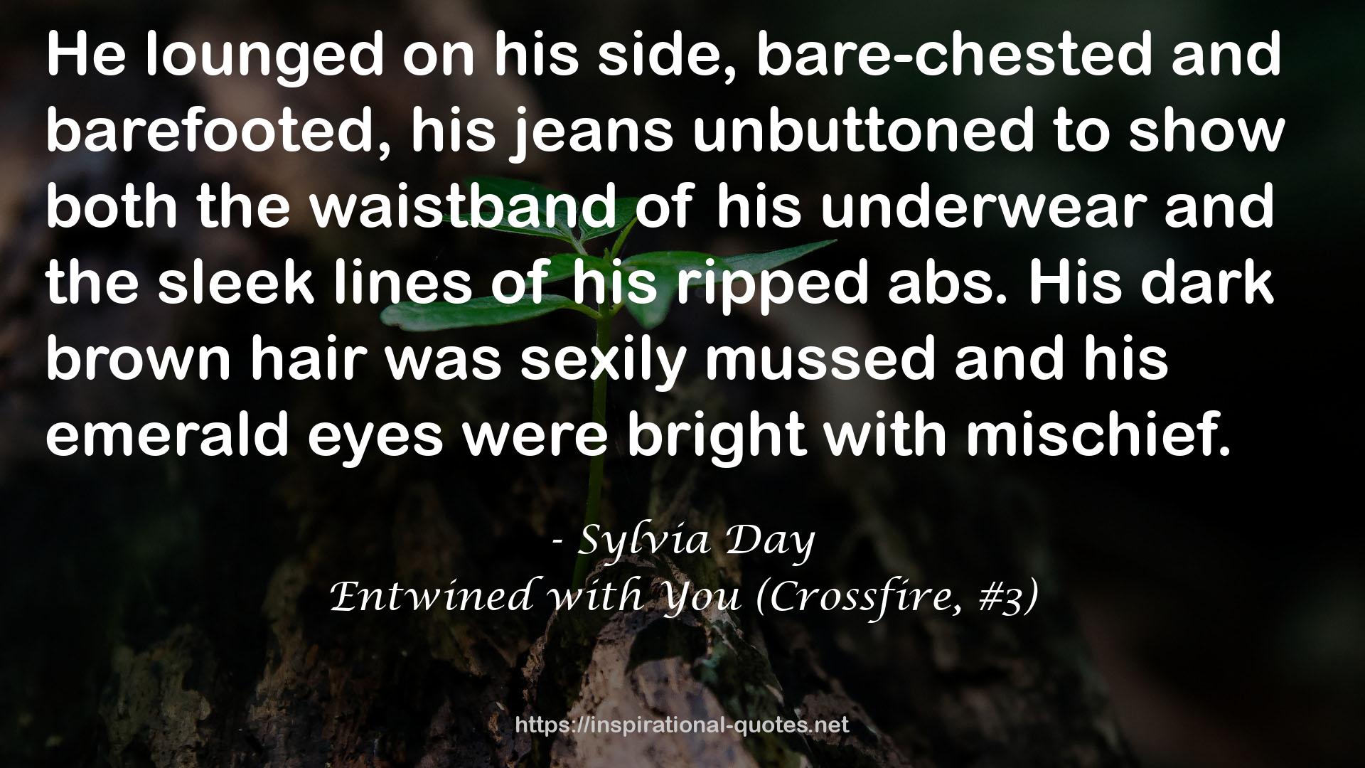 Entwined with You (Crossfire, #3) QUOTES