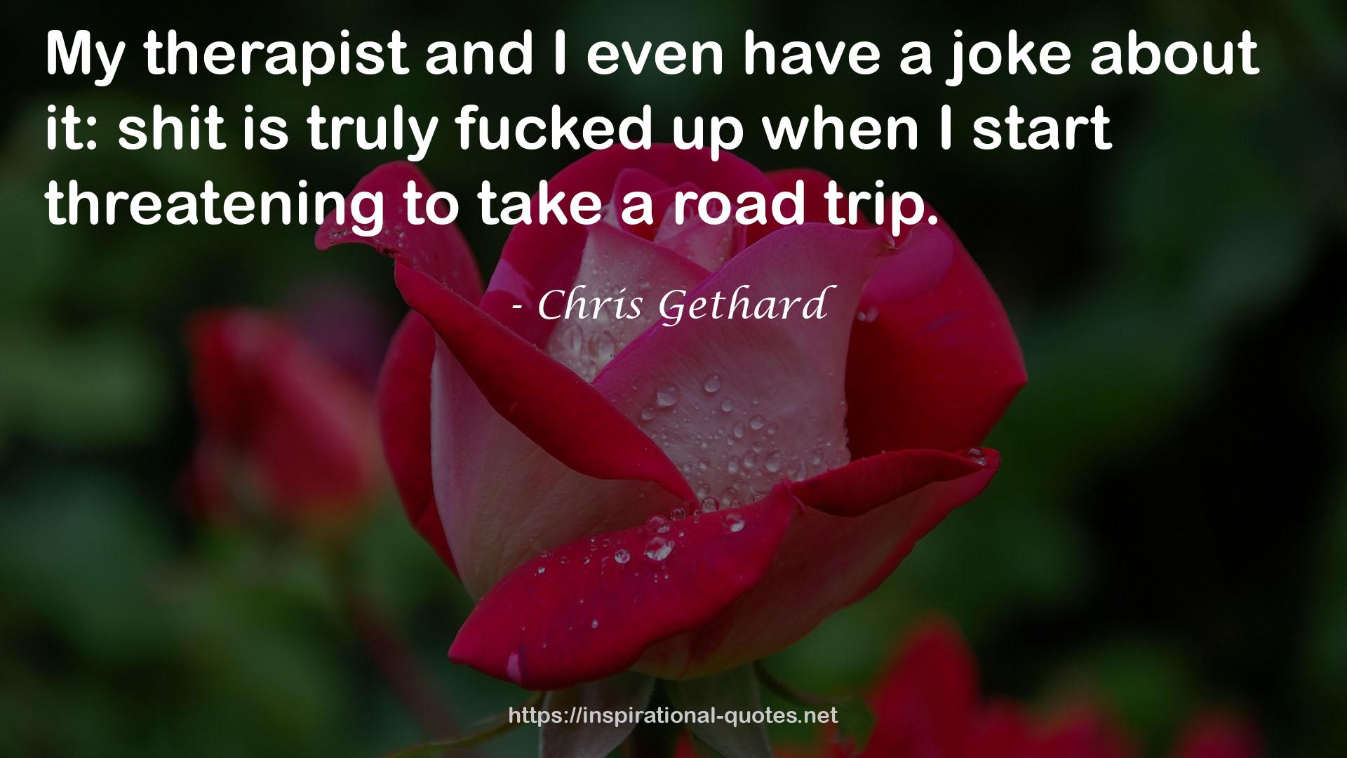 Chris Gethard QUOTES