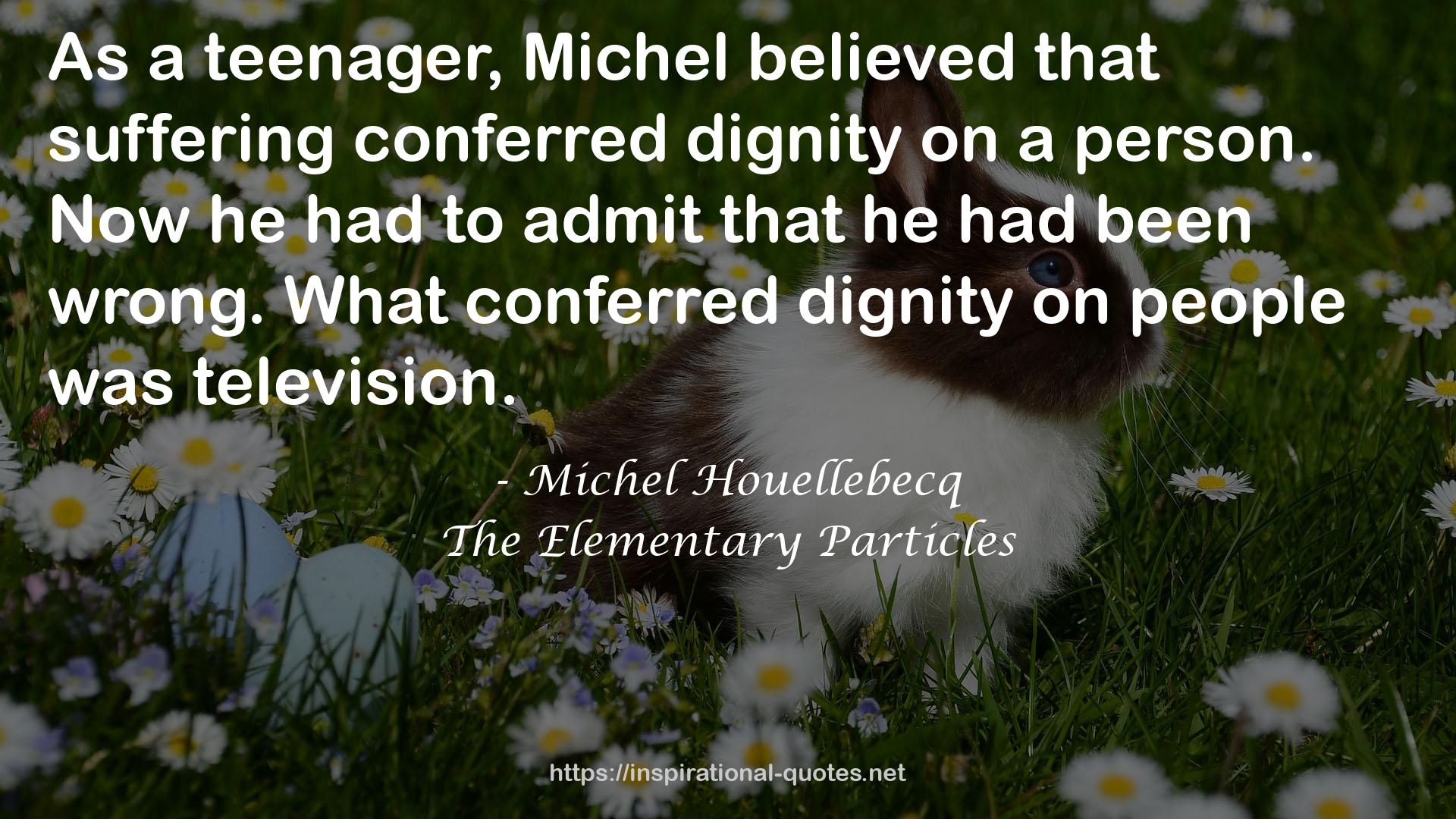 The Elementary Particles QUOTES