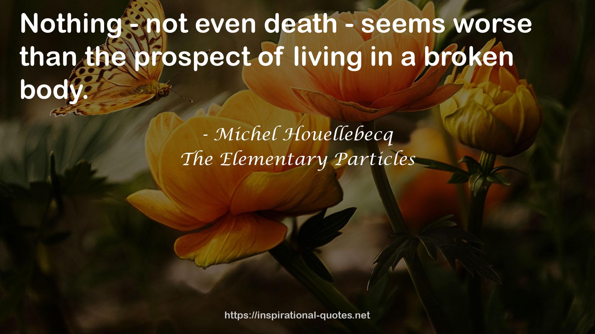 The Elementary Particles QUOTES