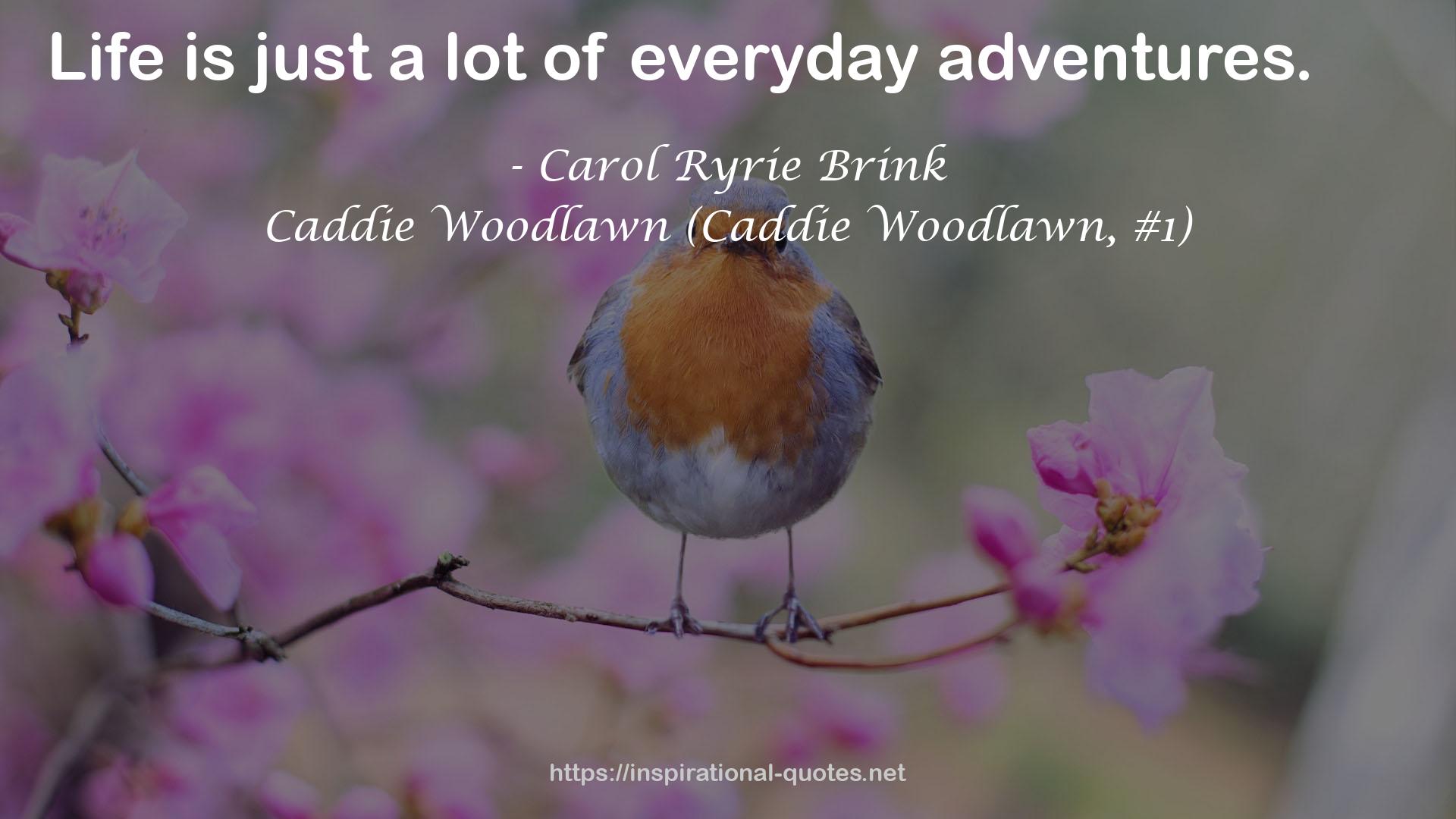 Caddie Woodlawn (Caddie Woodlawn, #1) QUOTES