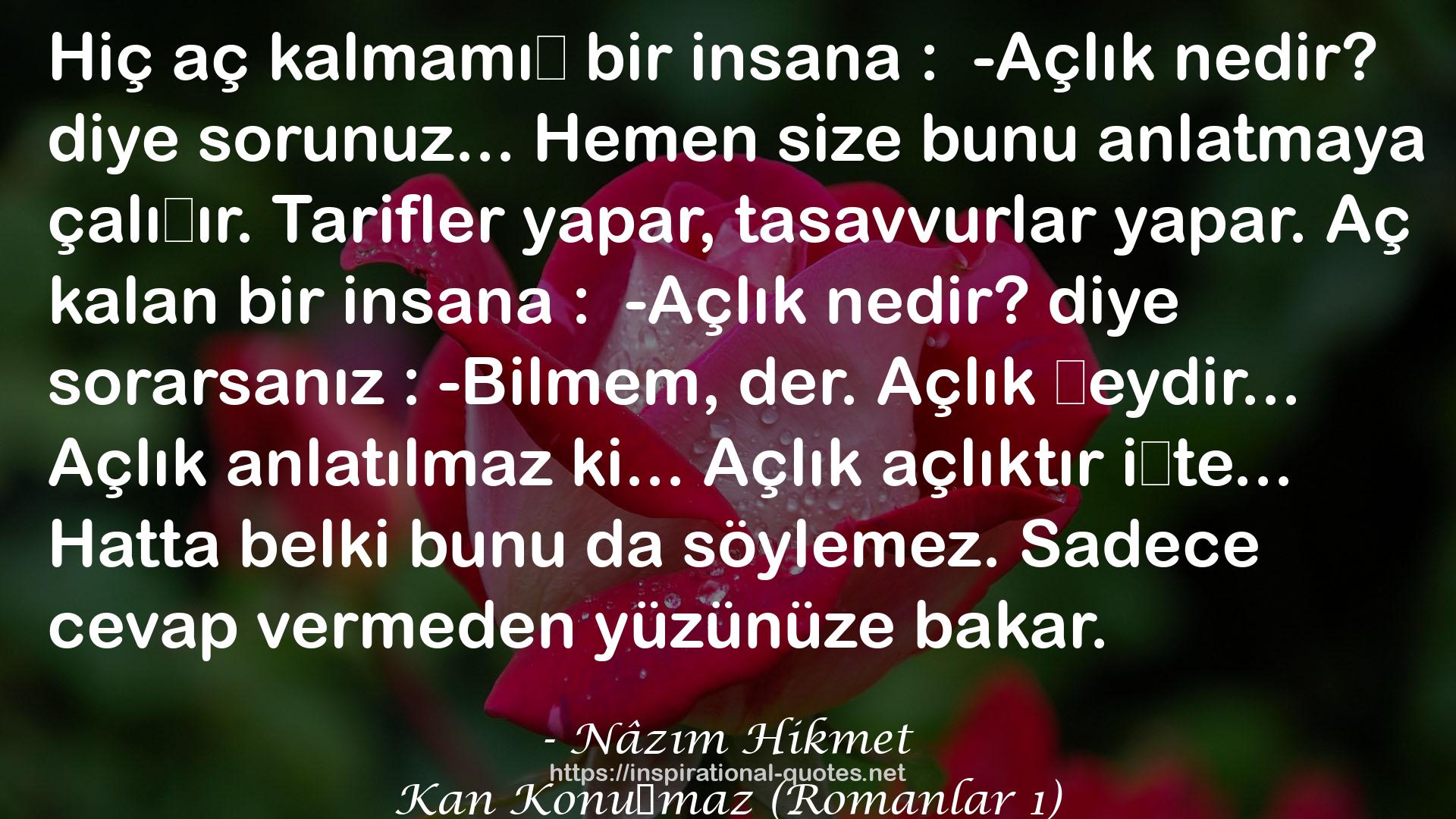 Kan Konuşmaz (Romanlar 1) QUOTES