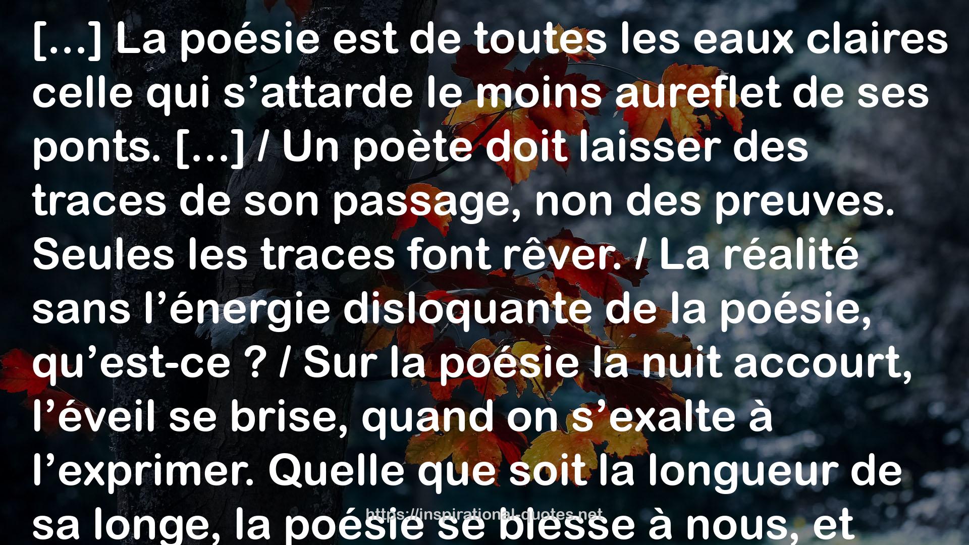 En trente-trois morceaux et autres poèmes QUOTES