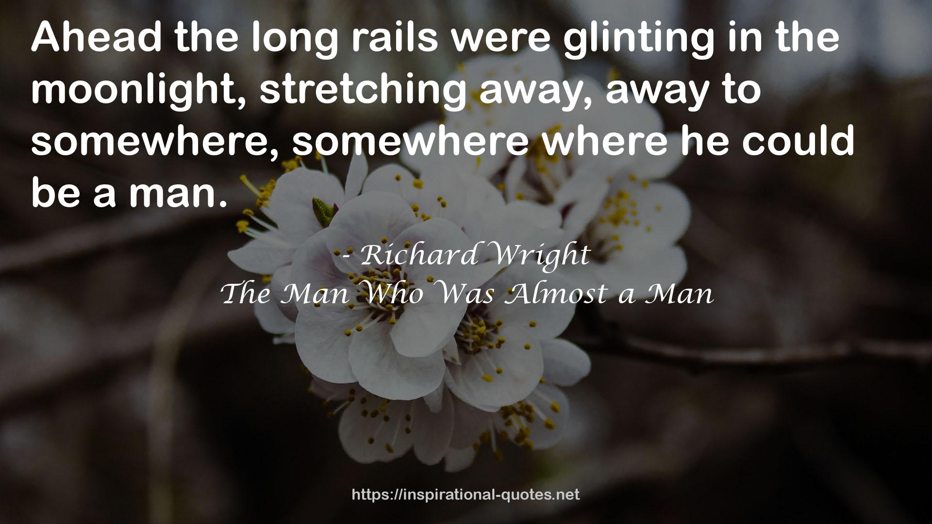 The Man Who Was Almost a Man QUOTES