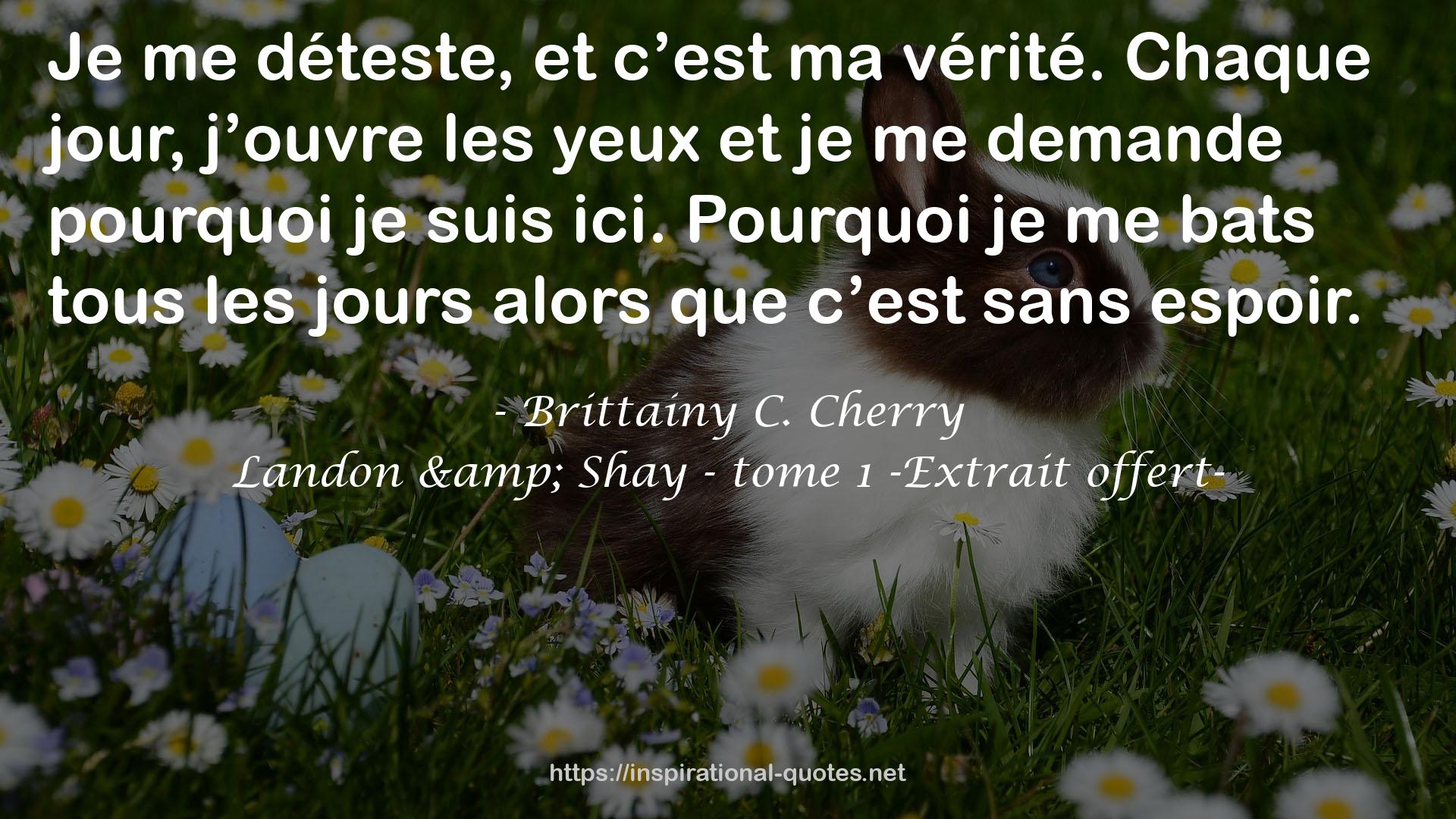 Landon & Shay - tome 1 -Extrait offert- QUOTES