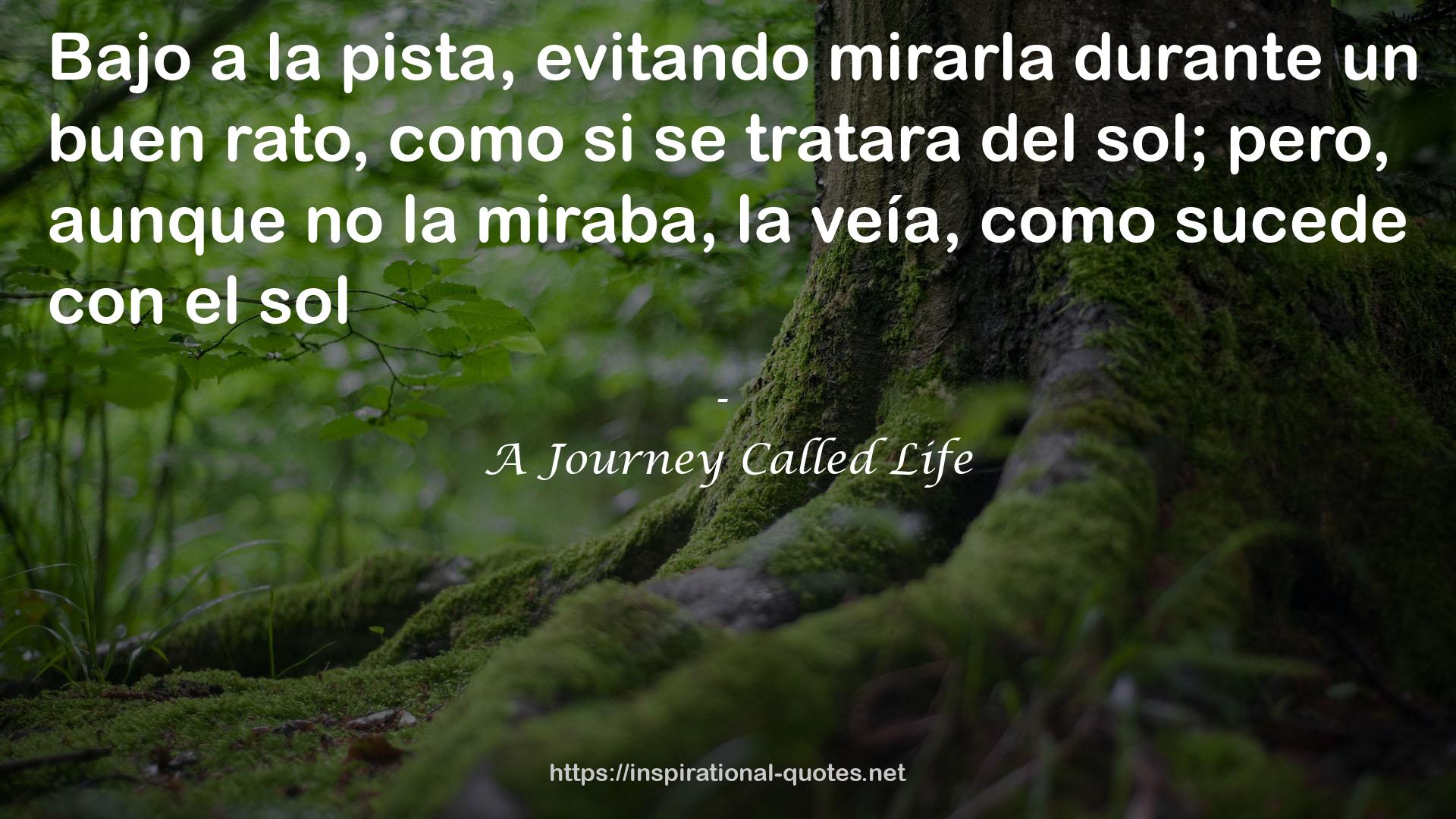 A Journey Called Life QUOTES