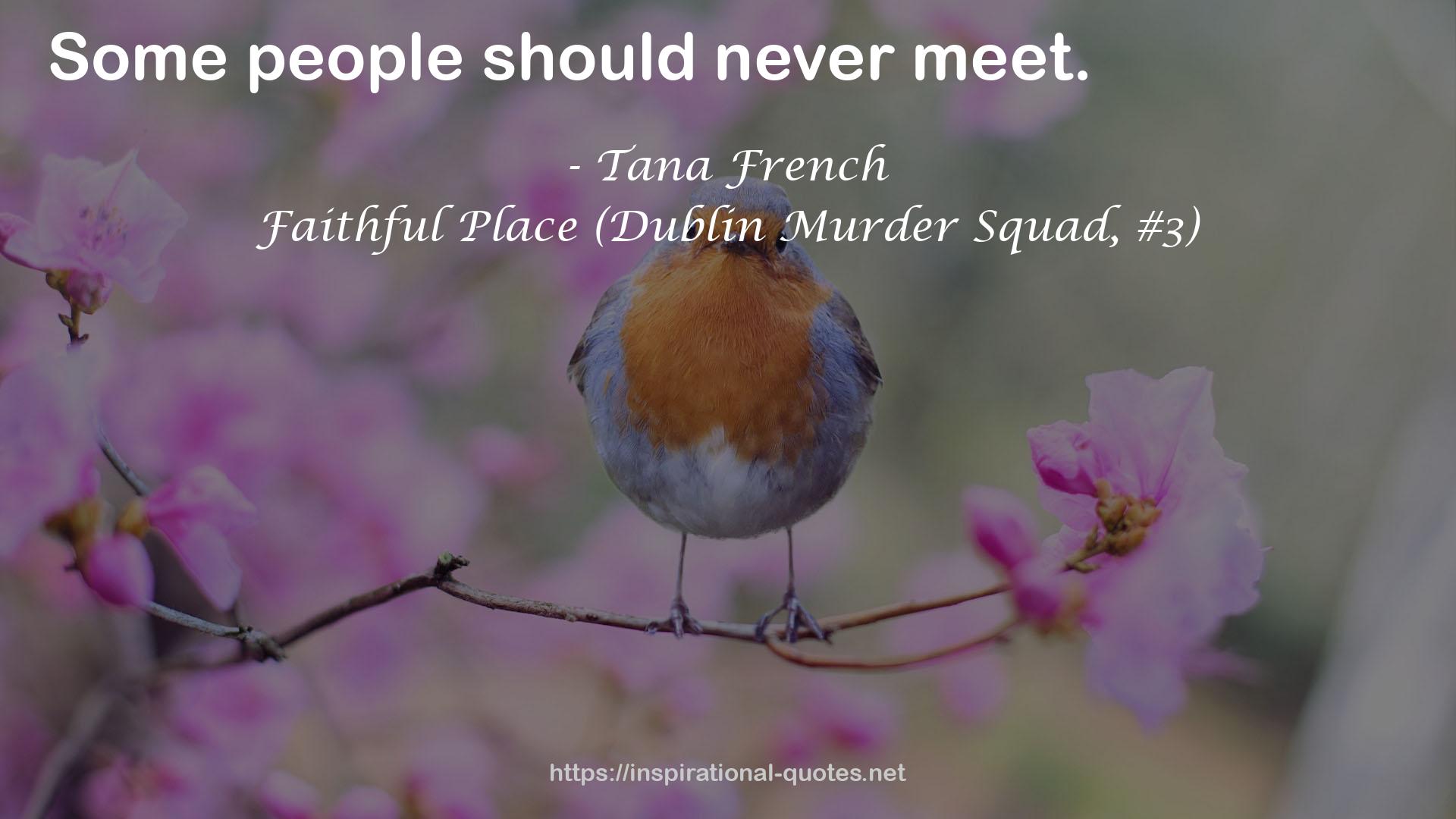 Tana French QUOTES