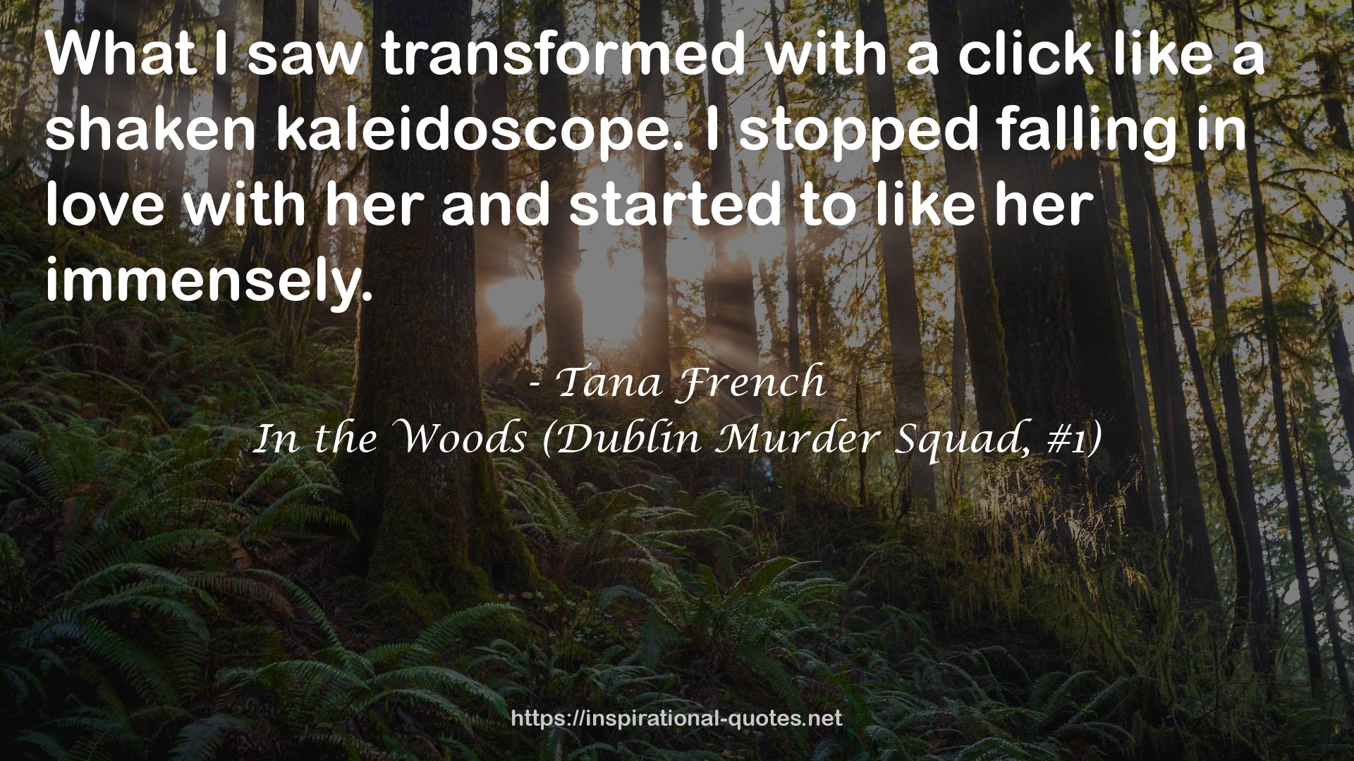 In the Woods (Dublin Murder Squad, #1) QUOTES