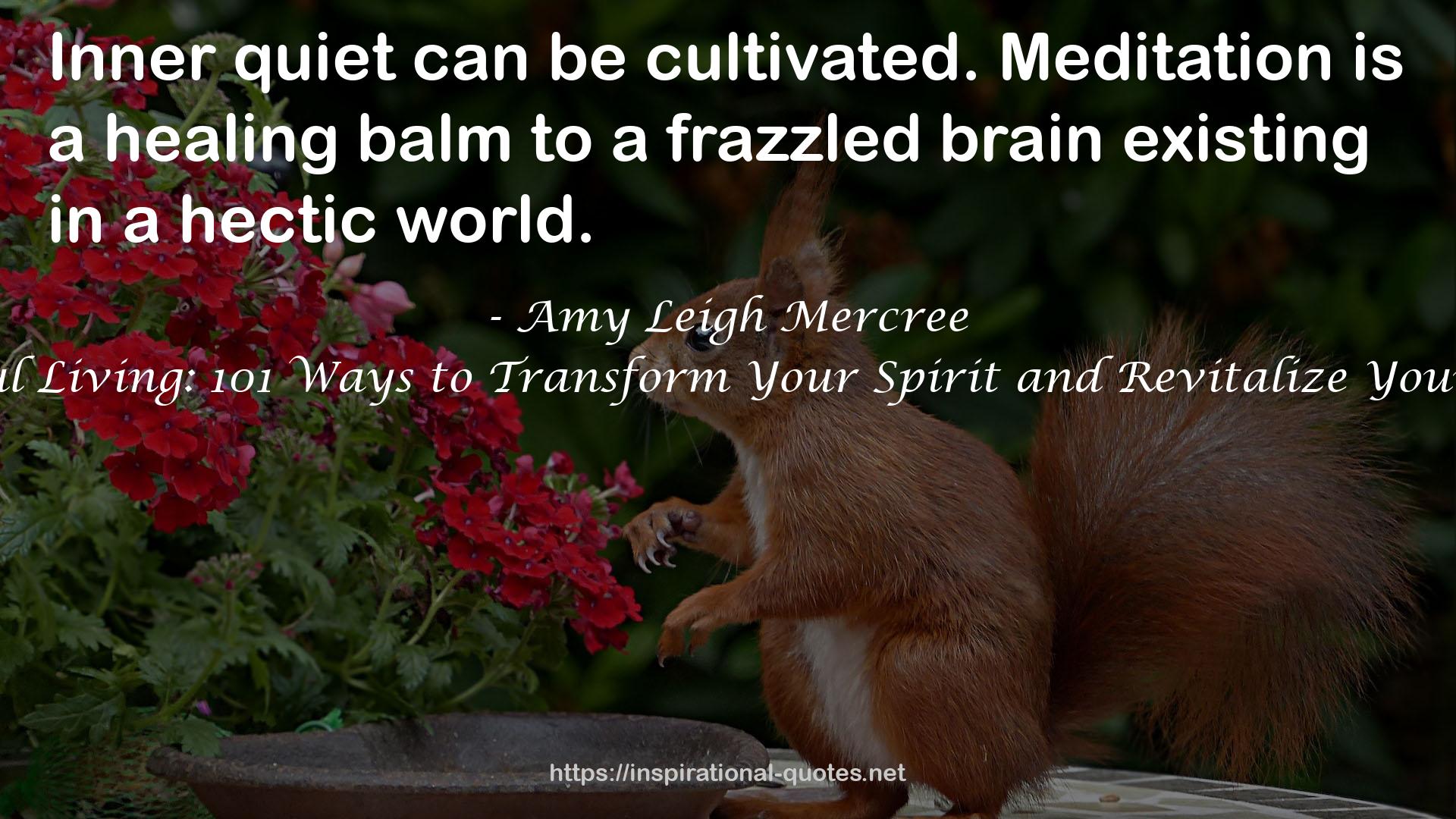 a frazzled brain  QUOTES