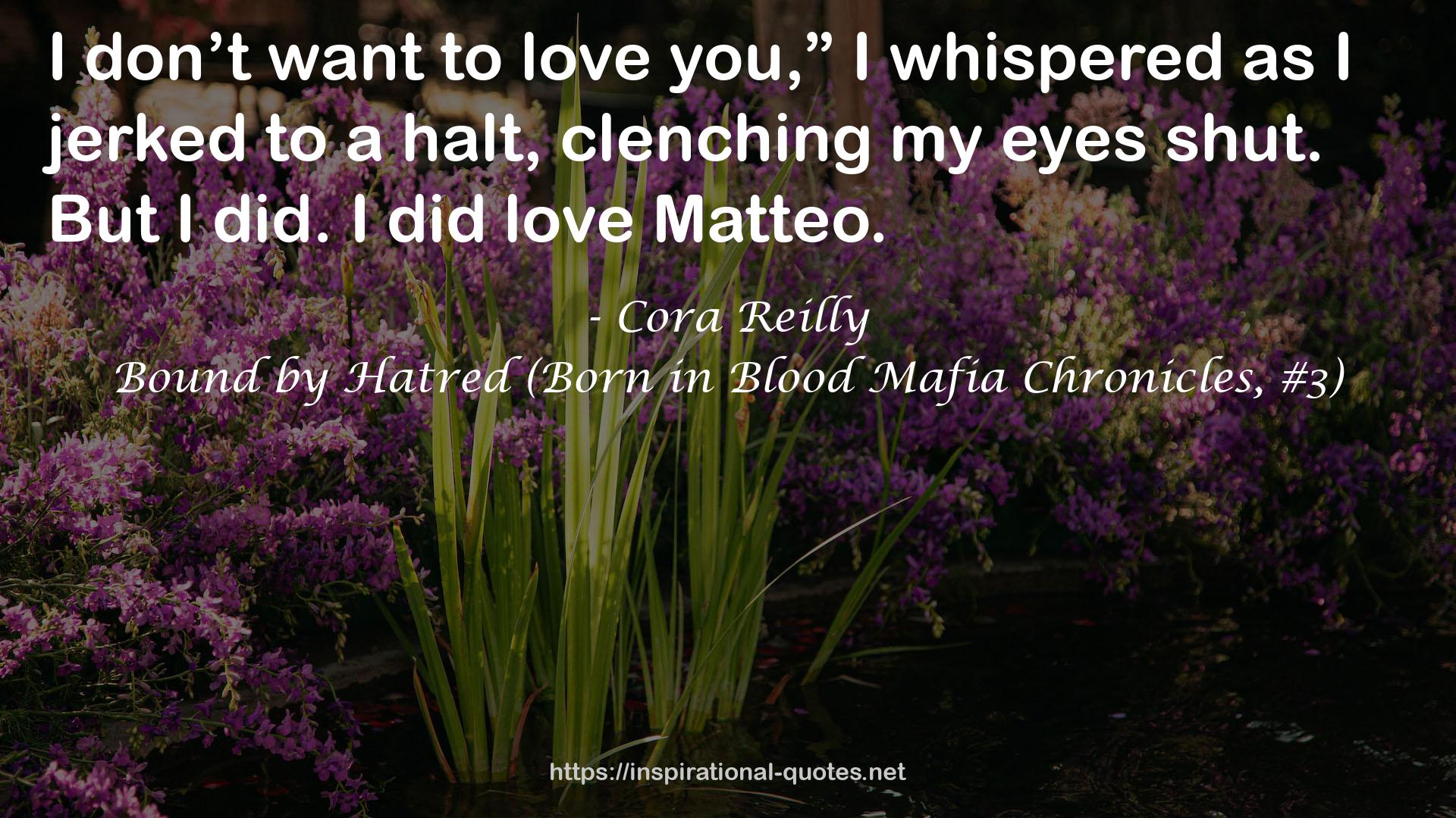 Bound by Hatred (Born in Blood Mafia Chronicles, #3) QUOTES