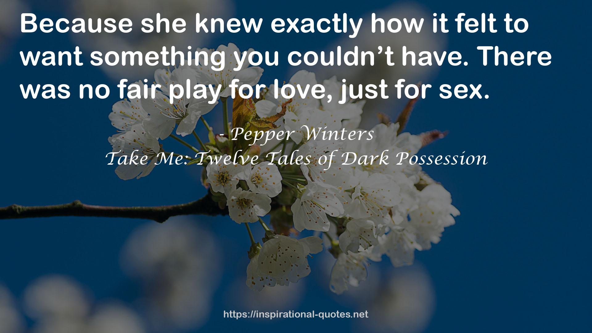 Take Me: Twelve Tales of Dark Possession QUOTES