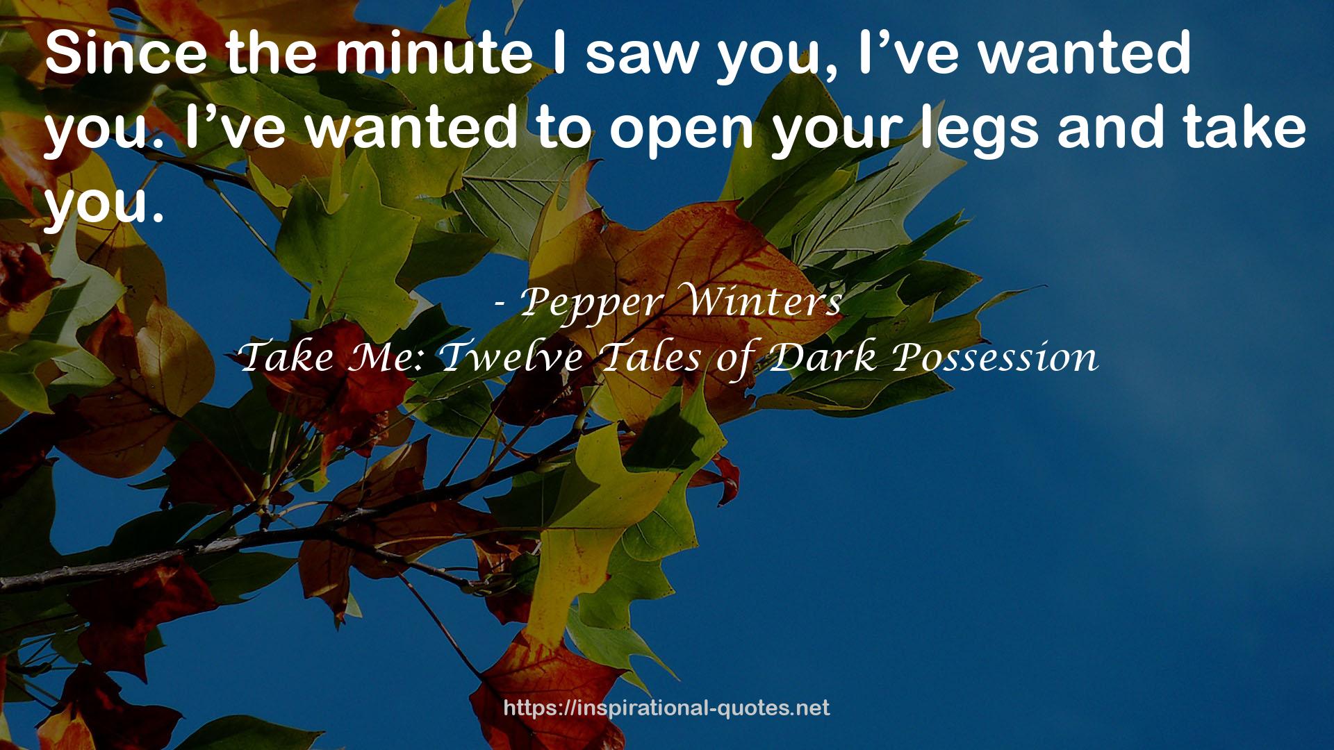 Take Me: Twelve Tales of Dark Possession QUOTES