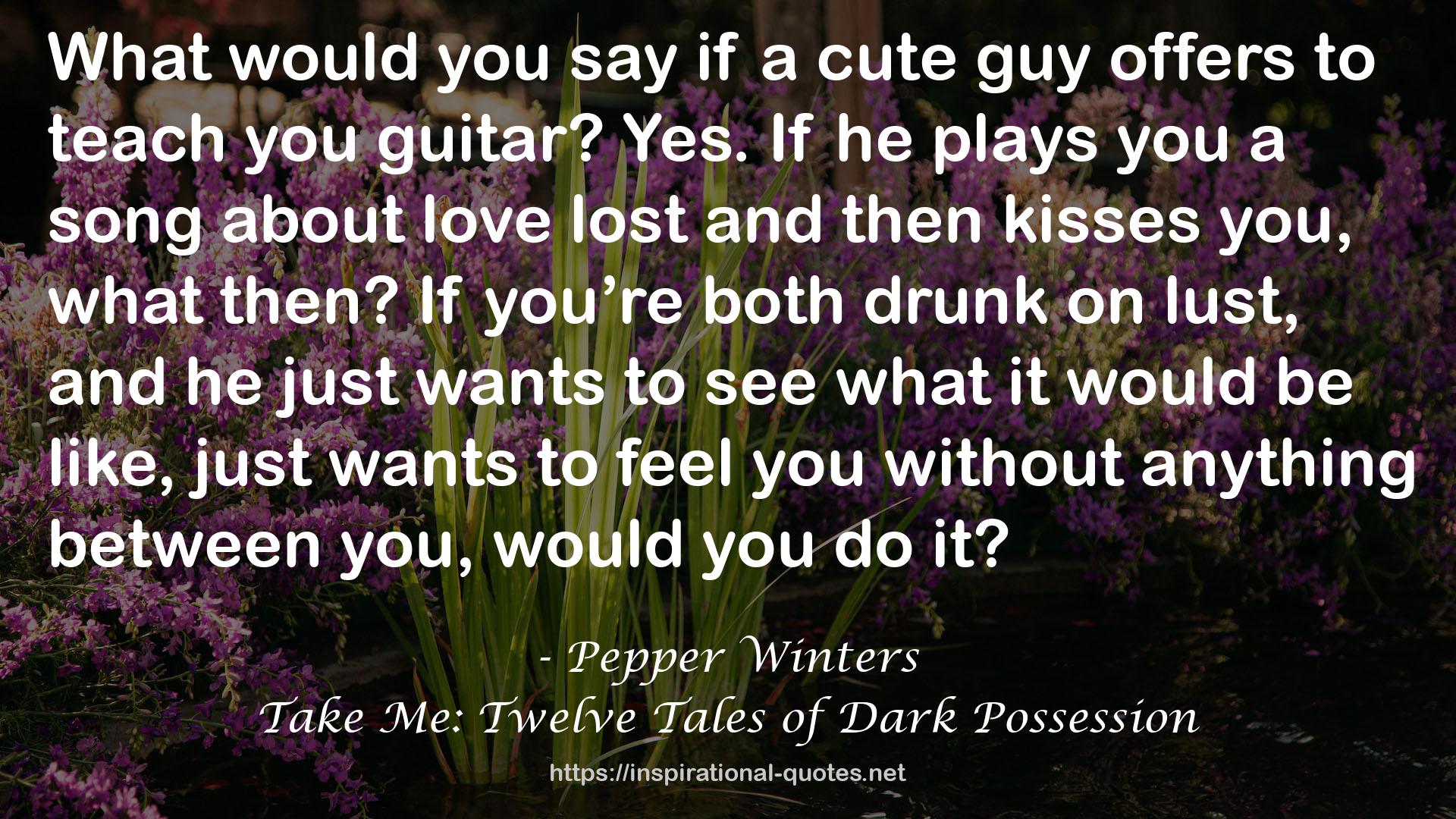 Take Me: Twelve Tales of Dark Possession QUOTES