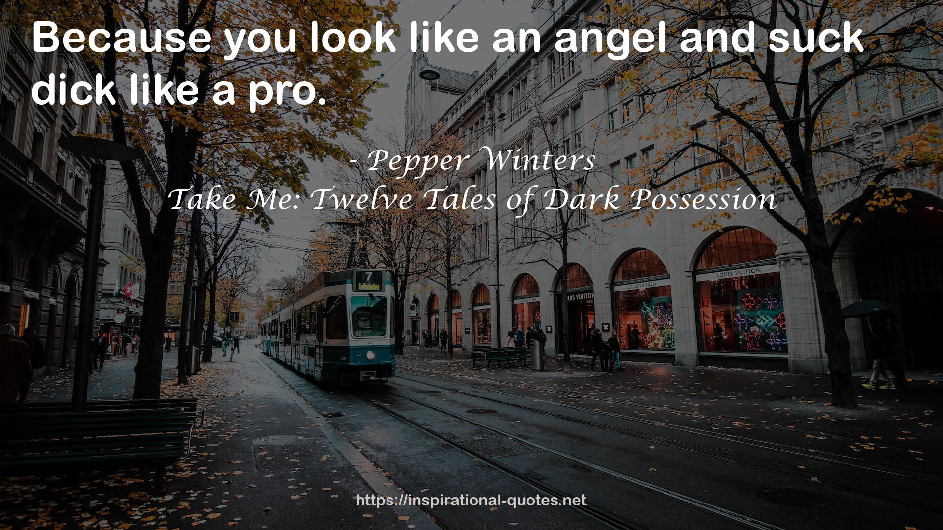 Take Me: Twelve Tales of Dark Possession QUOTES