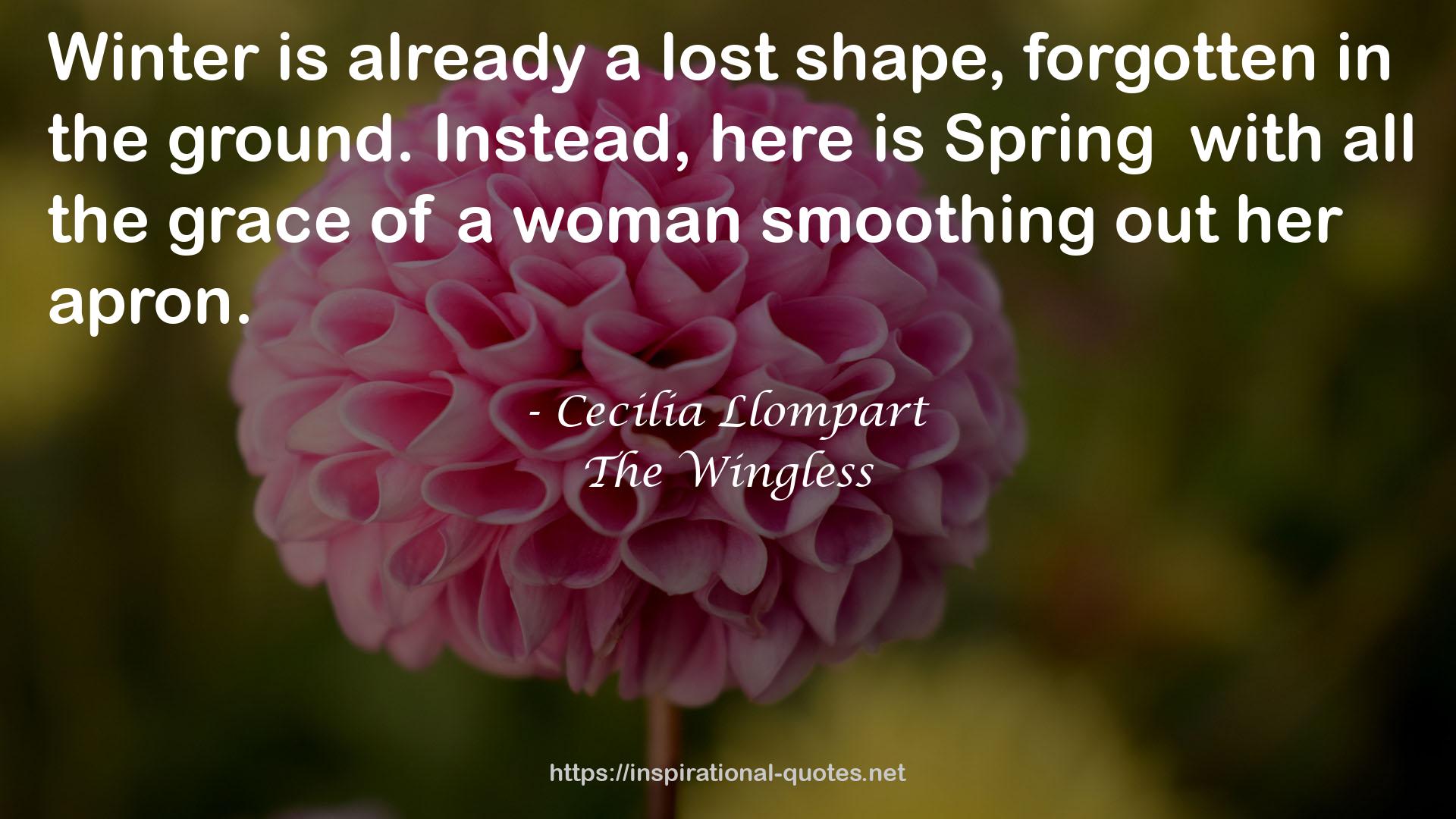 womansmoothing  QUOTES