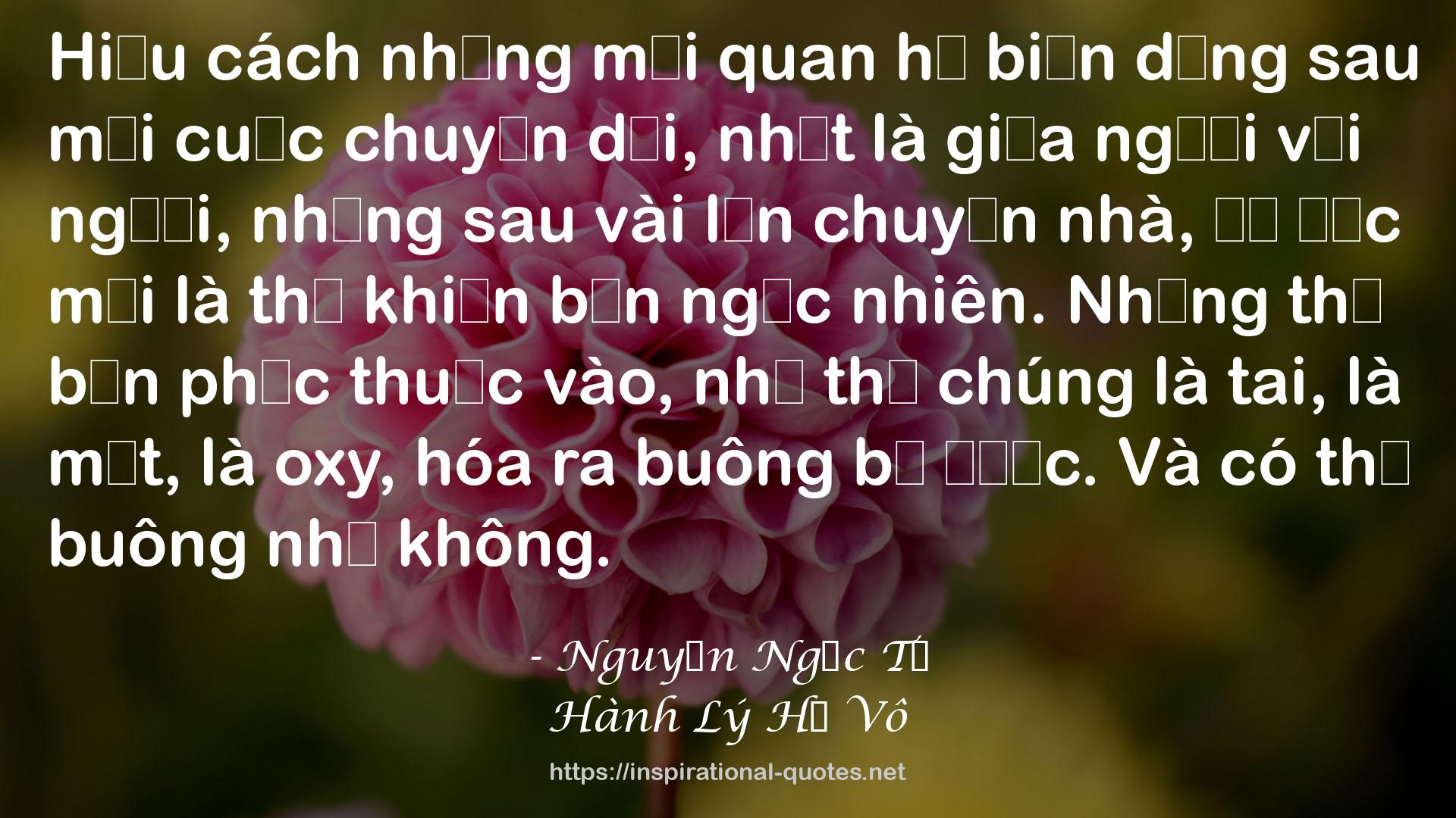 Hành Lý Hư Vô QUOTES