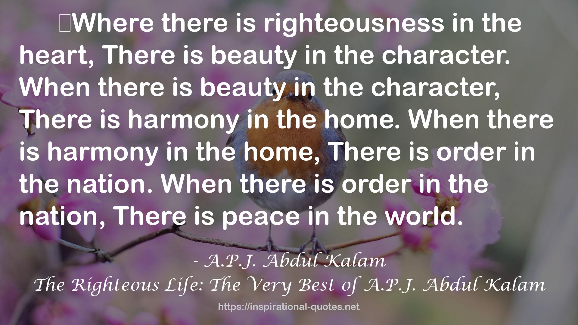 The Righteous Life: The Very Best of A.P.J. Abdul Kalam QUOTES
