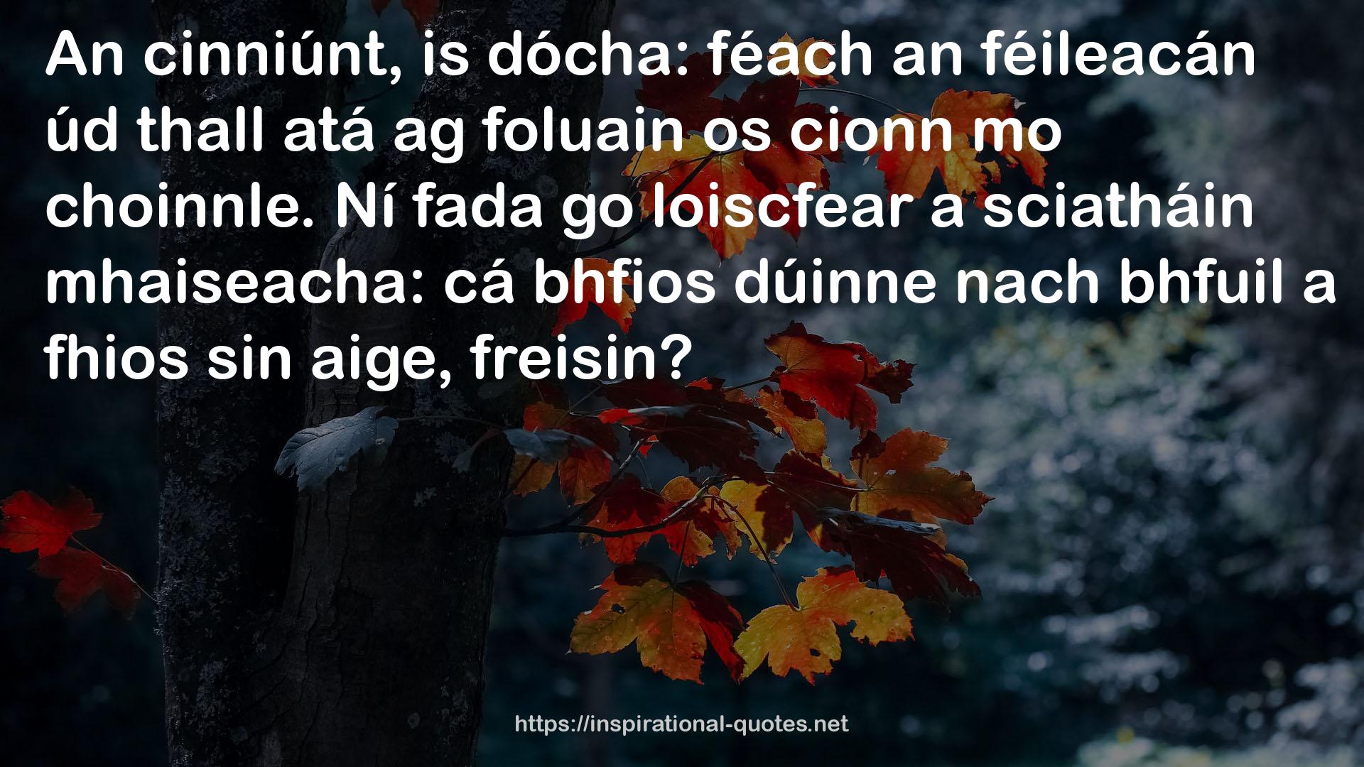 féach  QUOTES