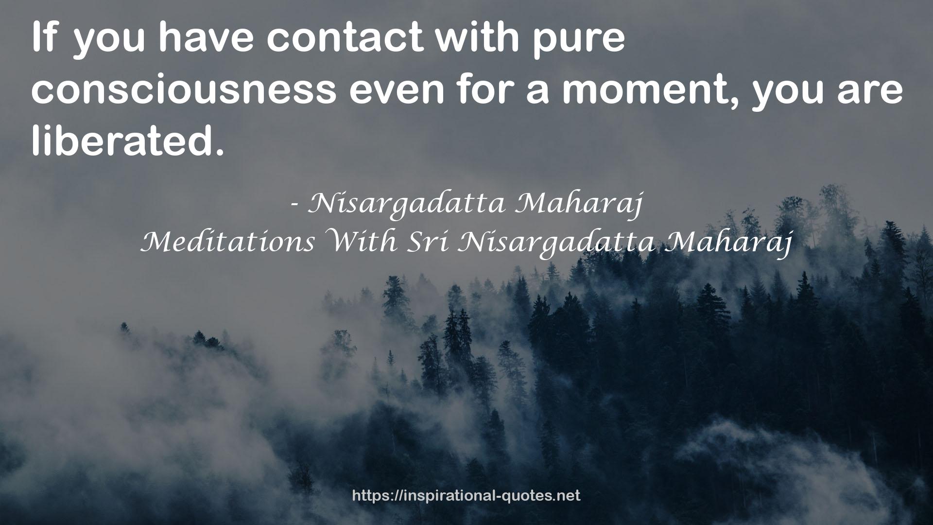 Meditations With Sri Nisargadatta Maharaj QUOTES