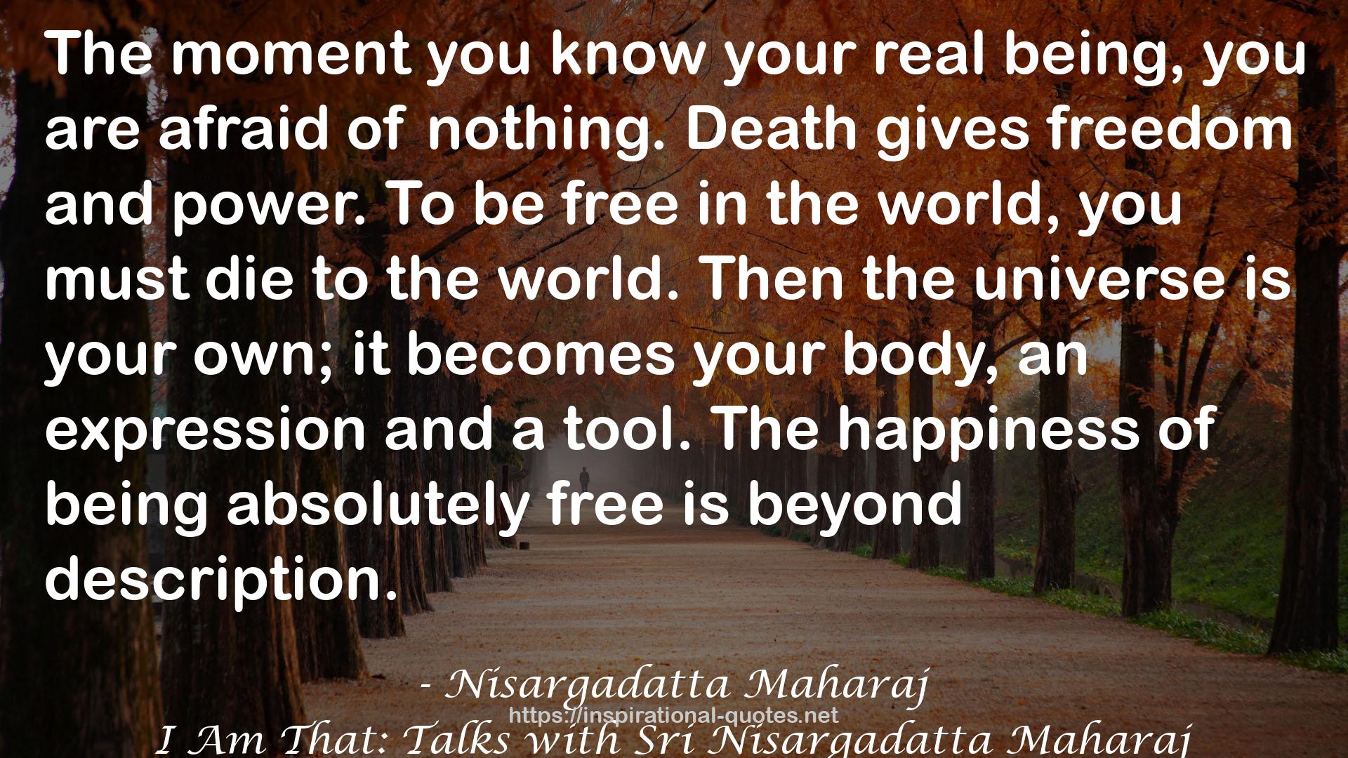 Nisargadatta Maharaj QUOTES