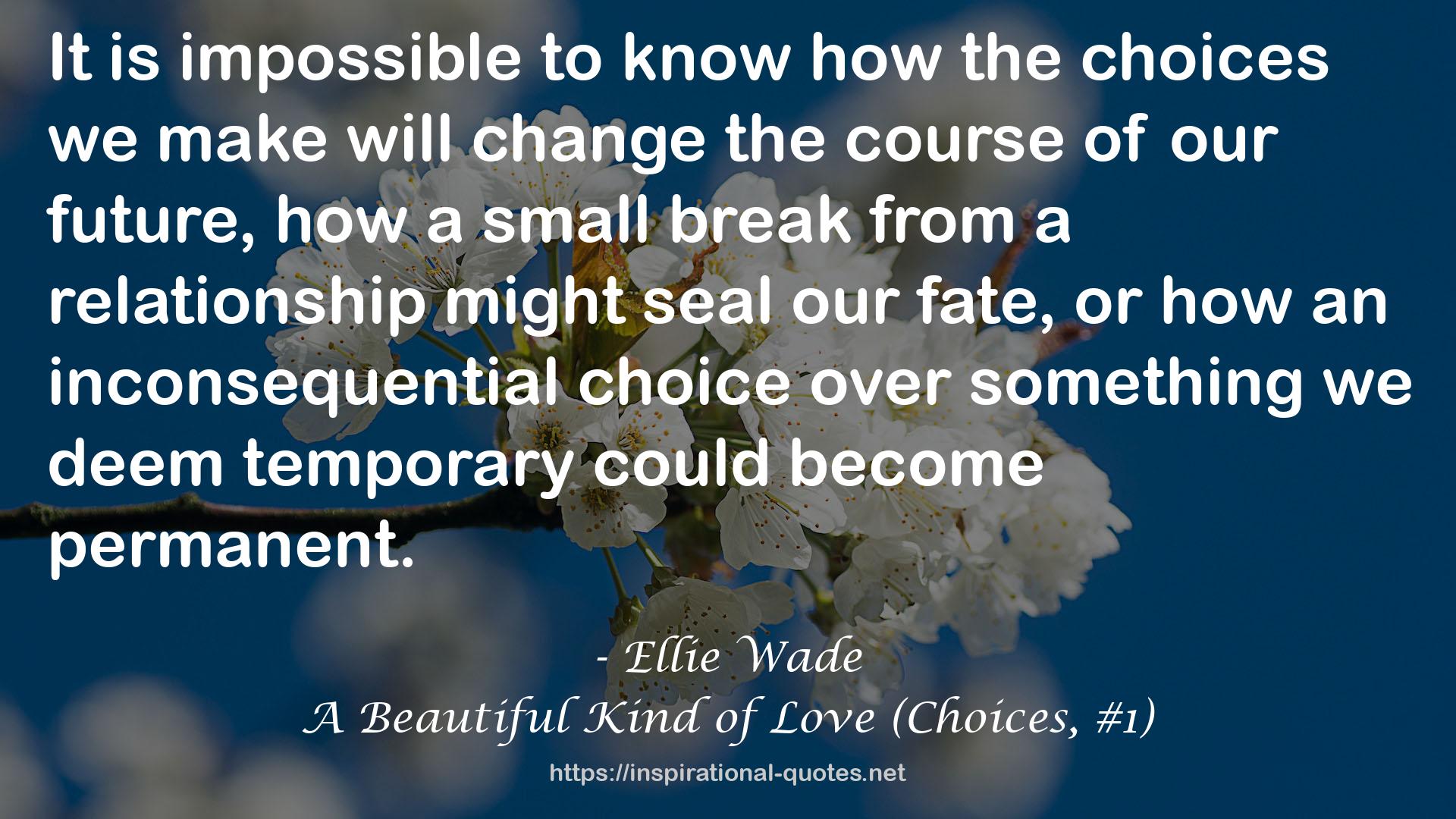 A Beautiful Kind of Love (Choices, #1) QUOTES