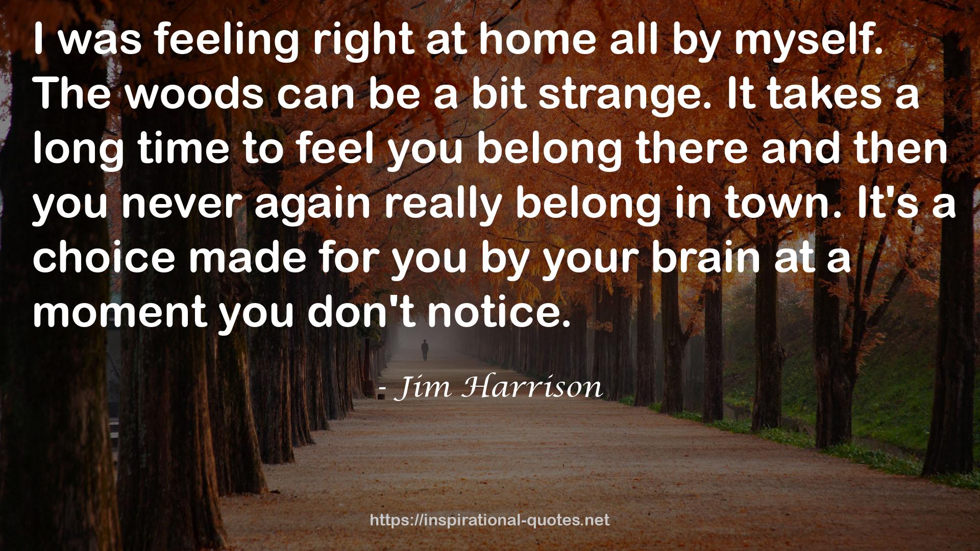 Jim Harrison QUOTES