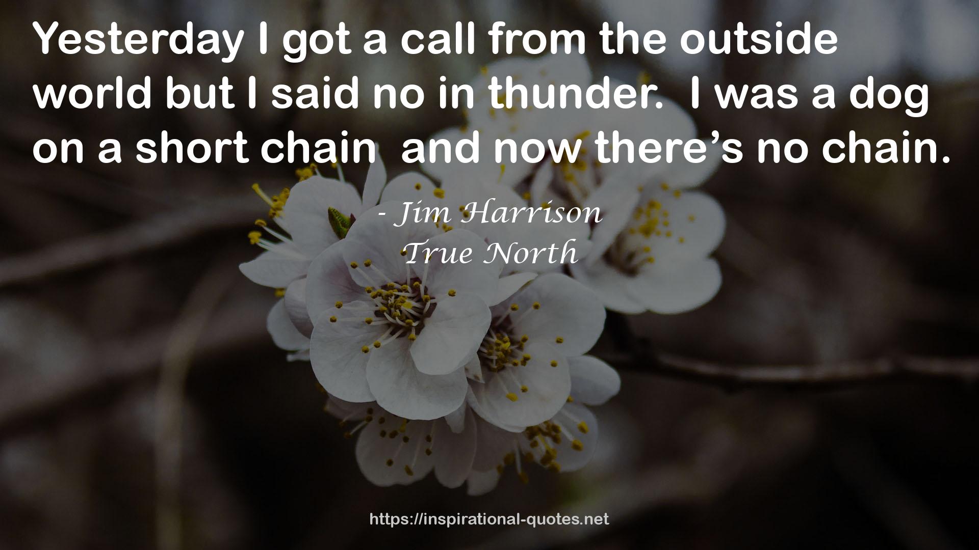 Jim Harrison QUOTES