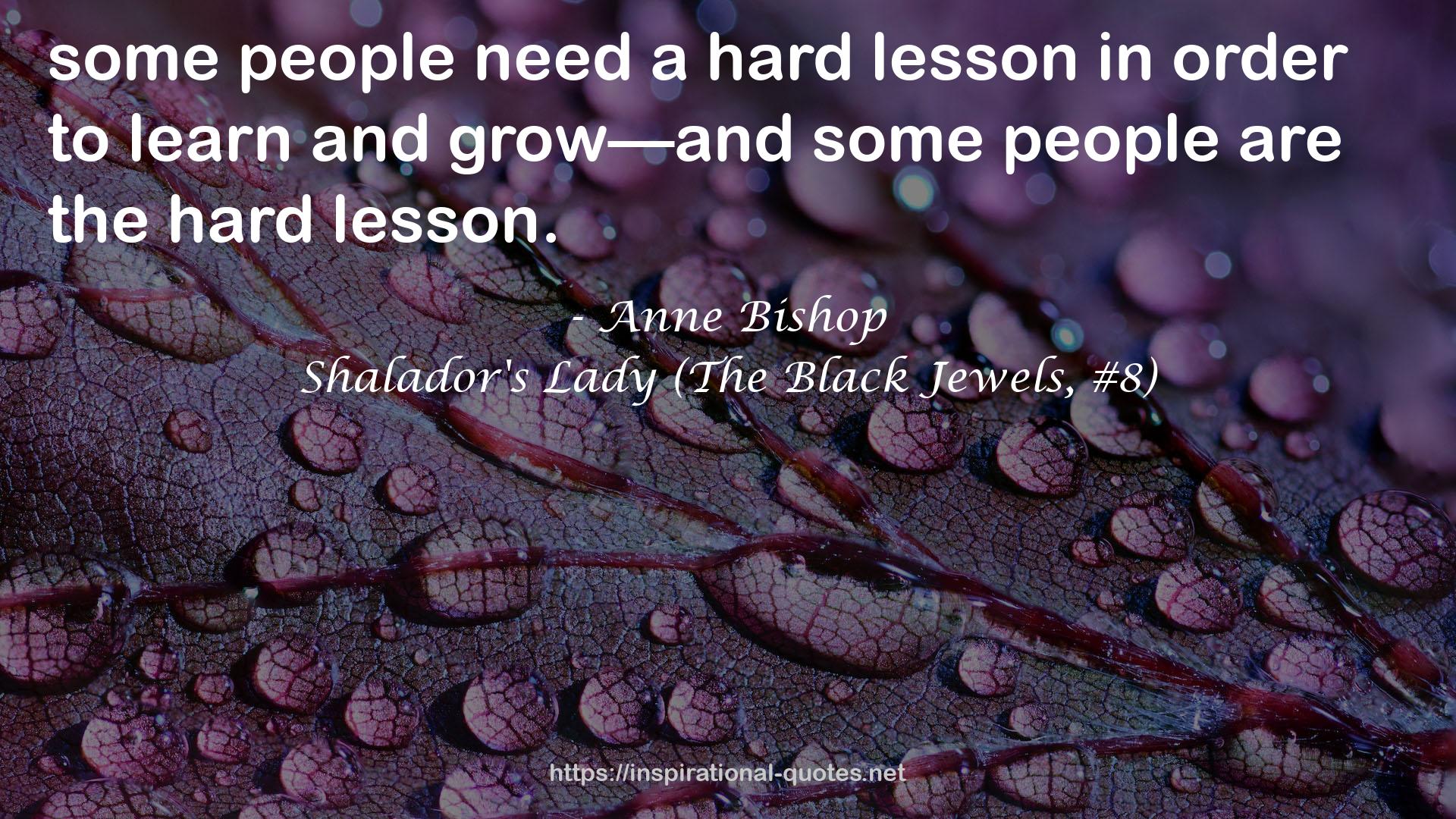 Shalador's Lady (The Black Jewels, #8) QUOTES