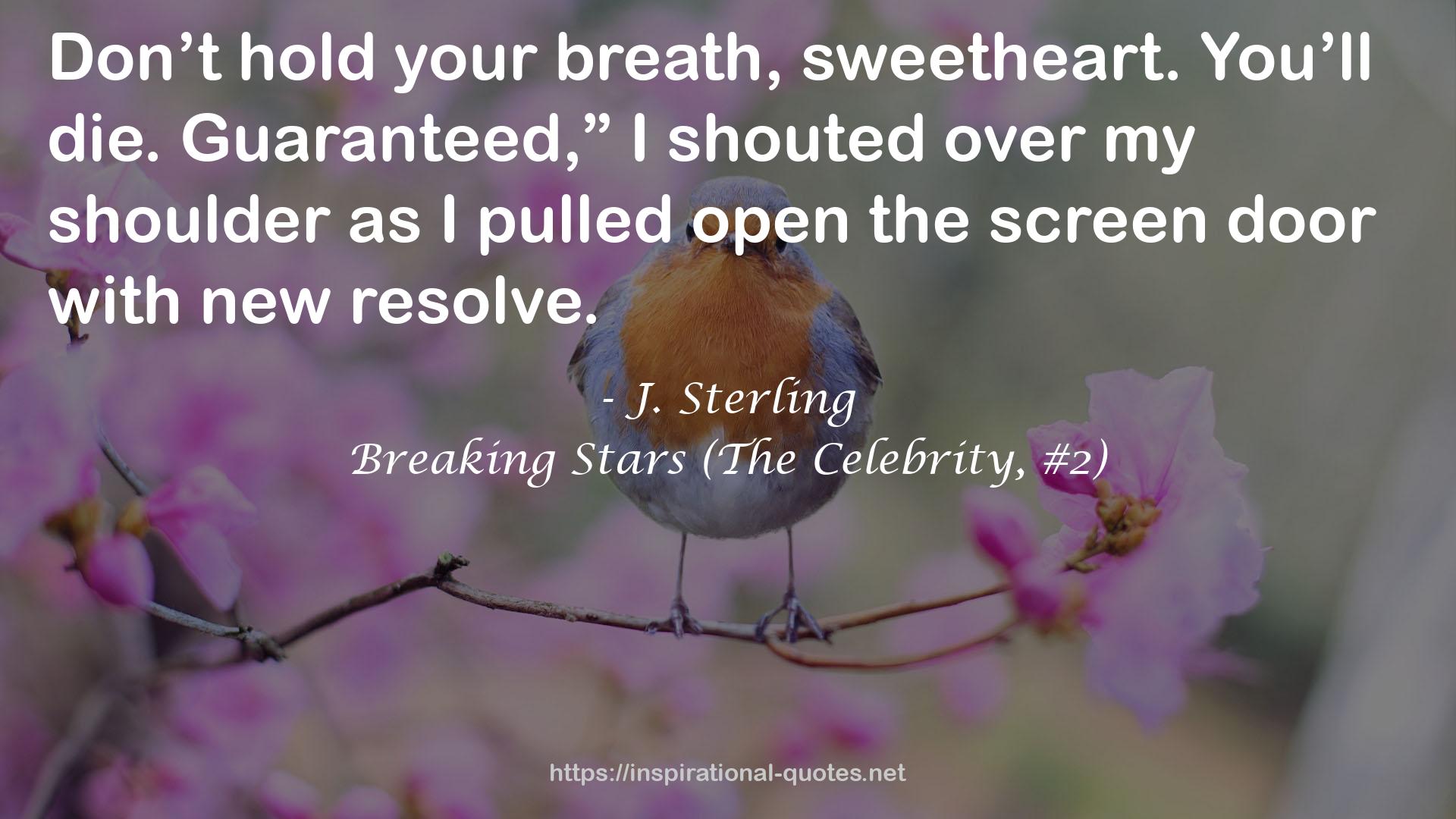 Breaking Stars (The Celebrity, #2) QUOTES