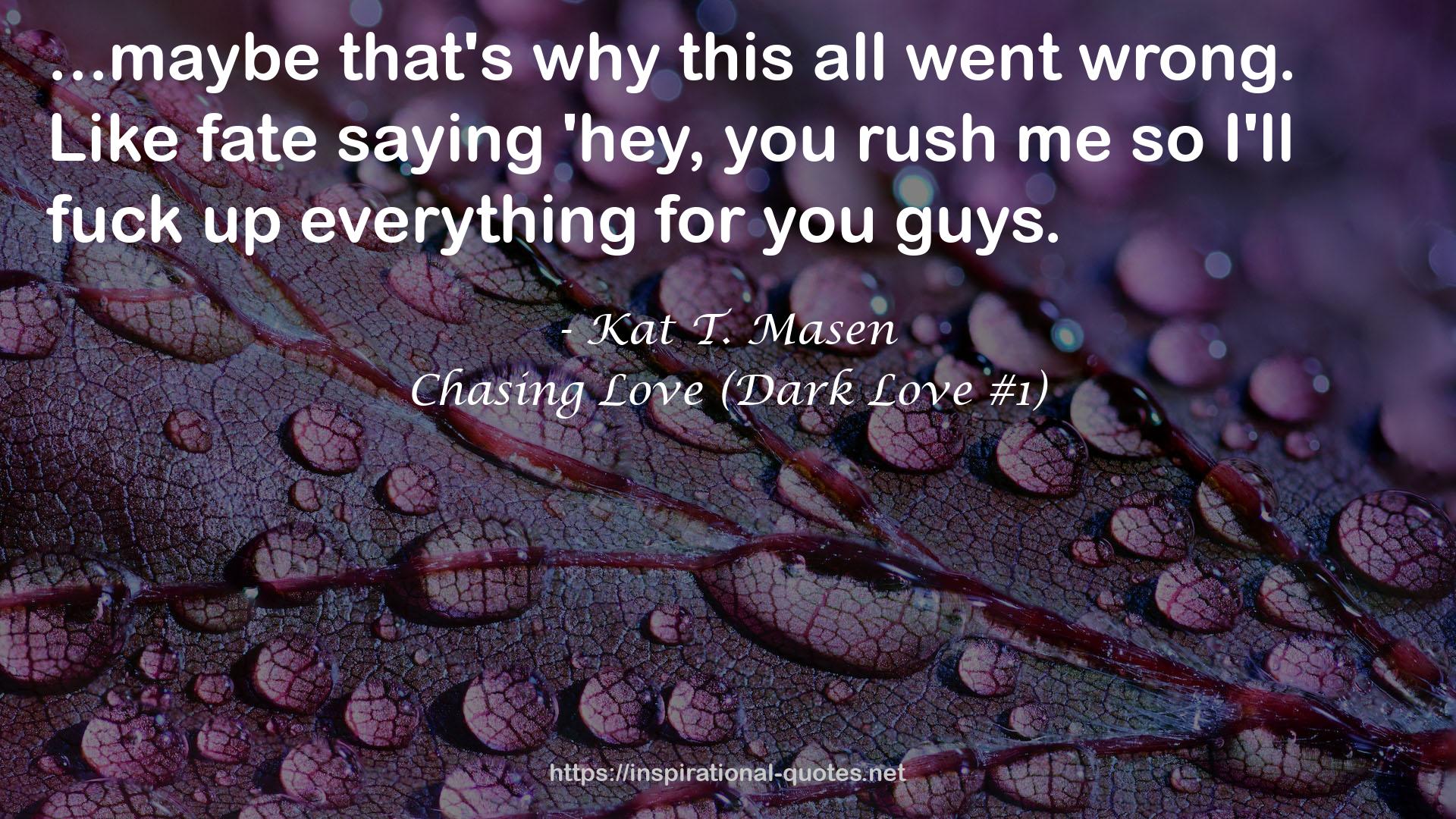 Chasing Love (Dark Love #1) QUOTES