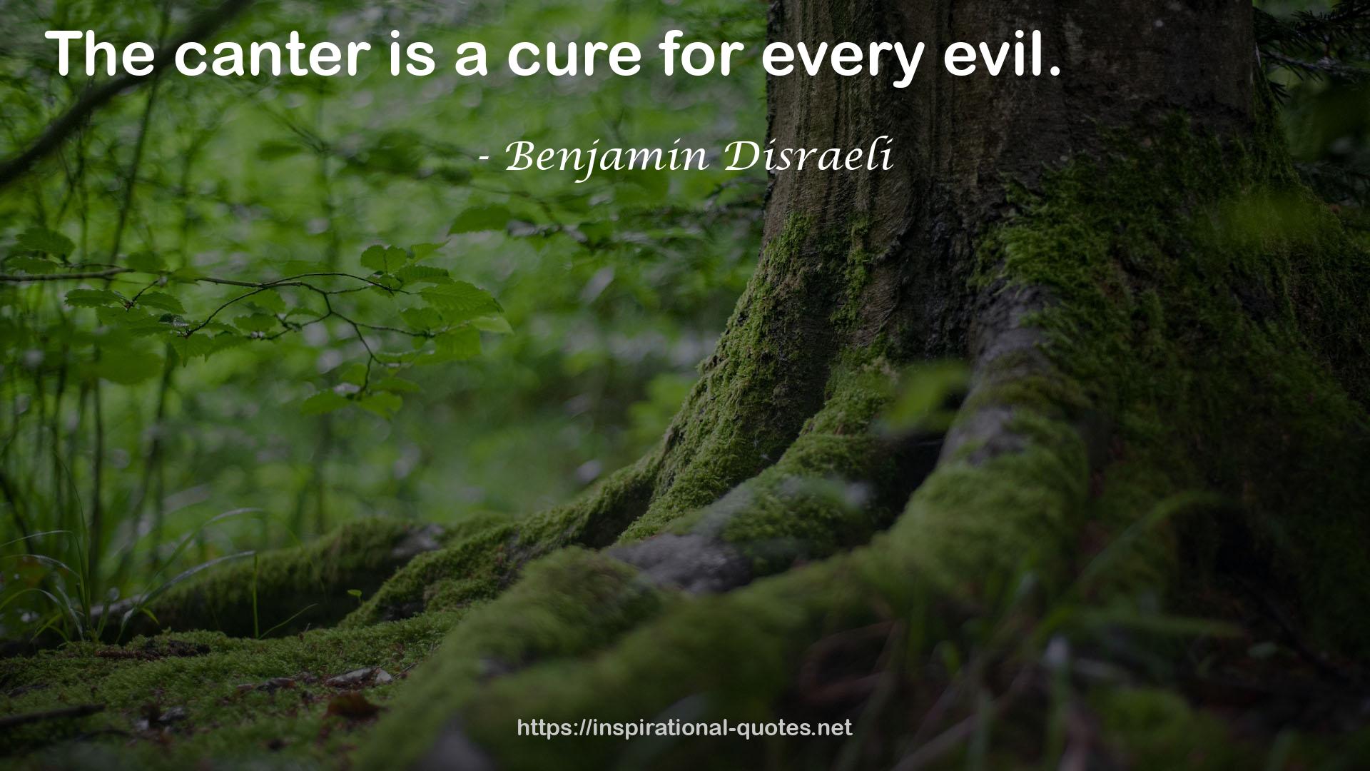 a cure  QUOTES