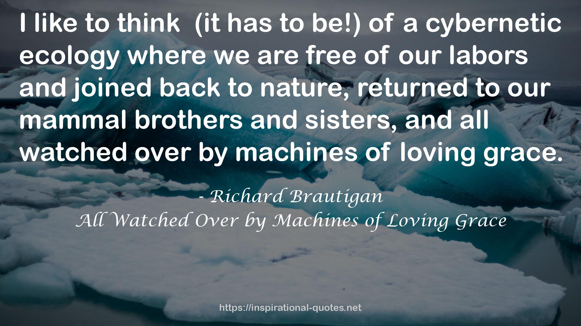 All Watched Over by Machines of Loving Grace QUOTES