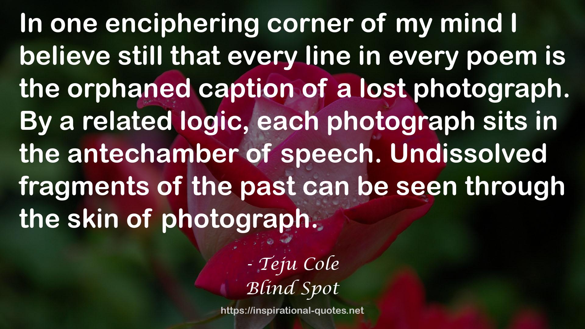 Blind Spot QUOTES