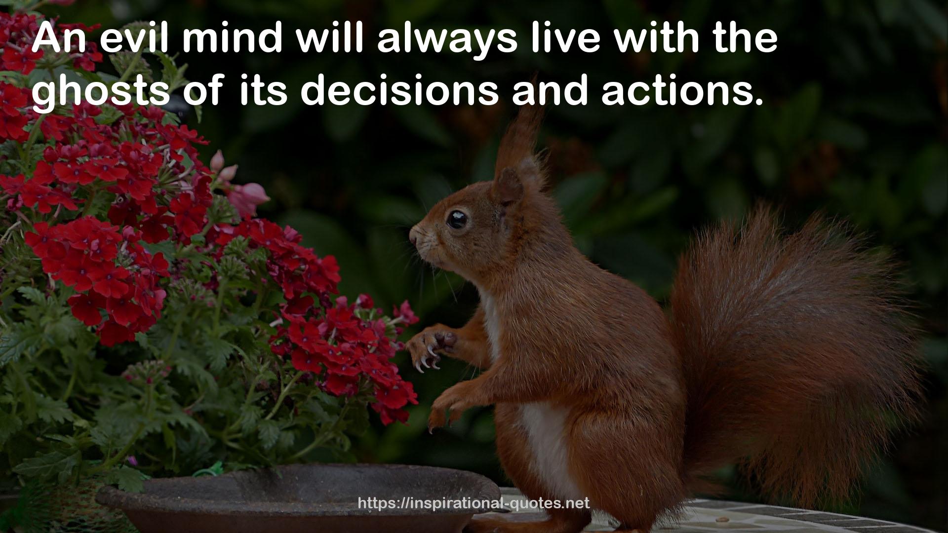 its decisions  QUOTES