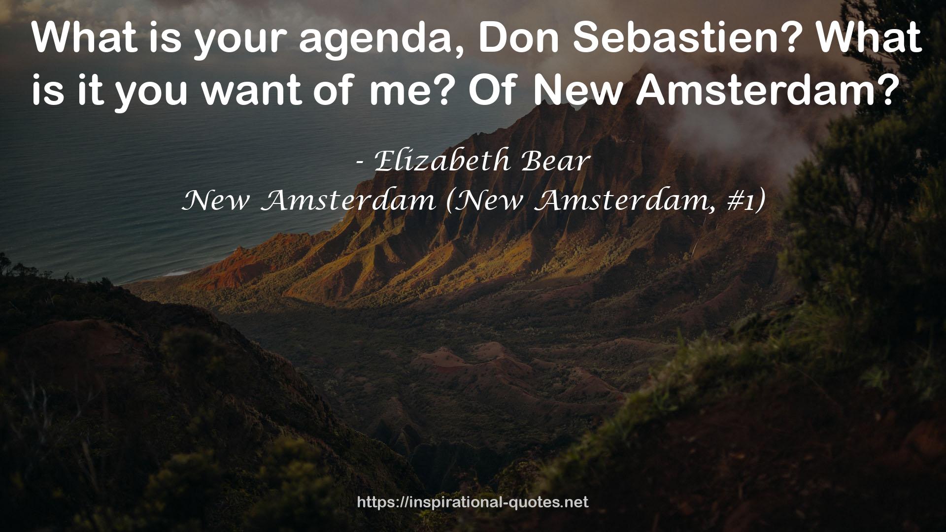 New Amsterdam (New Amsterdam, #1) QUOTES