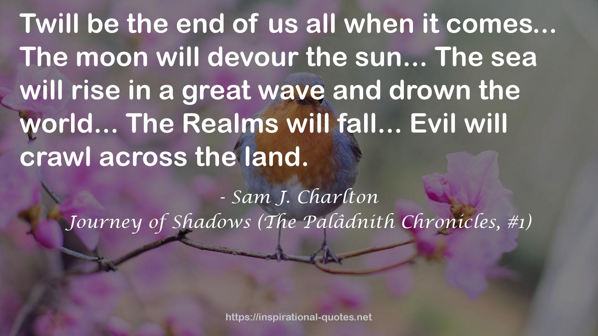 Journey of Shadows (The Palâdnith Chronicles, #1) QUOTES