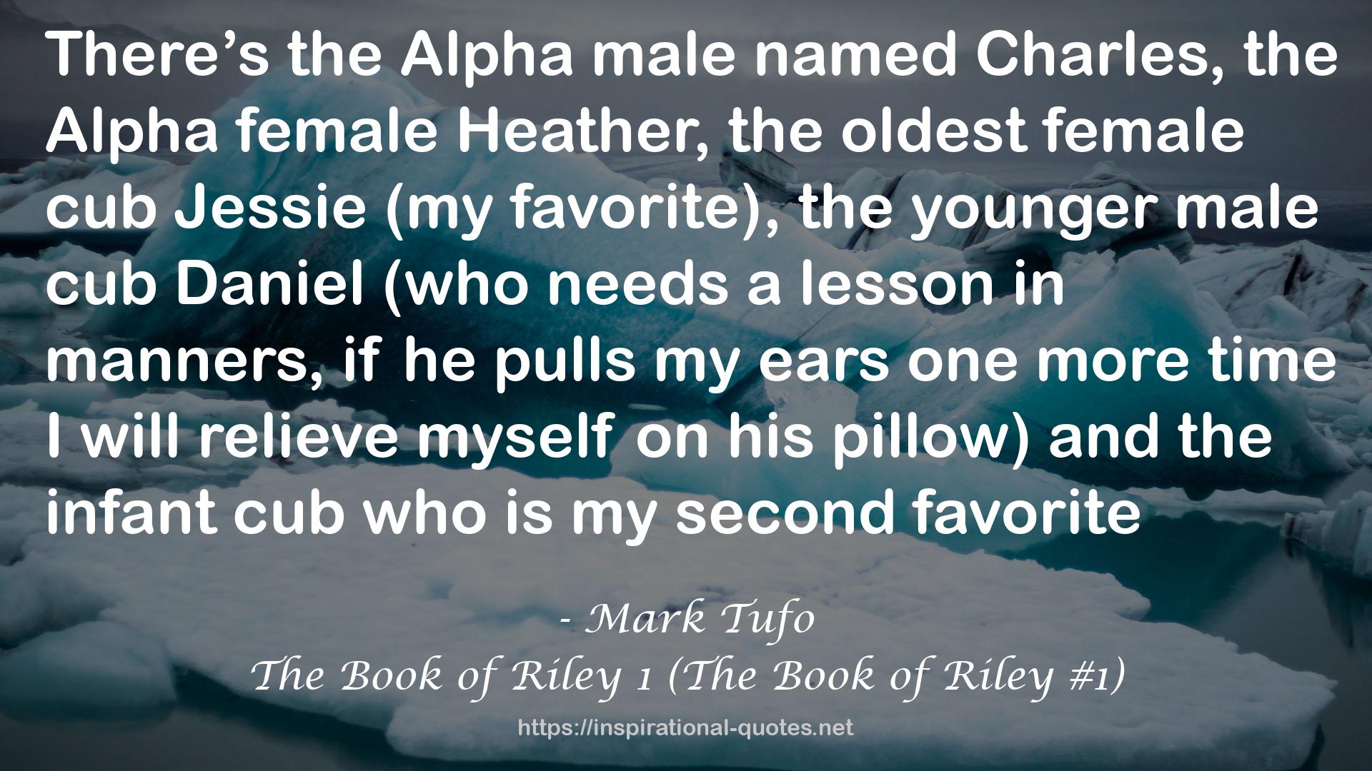 The Book of Riley 1 (The Book of Riley #1) QUOTES